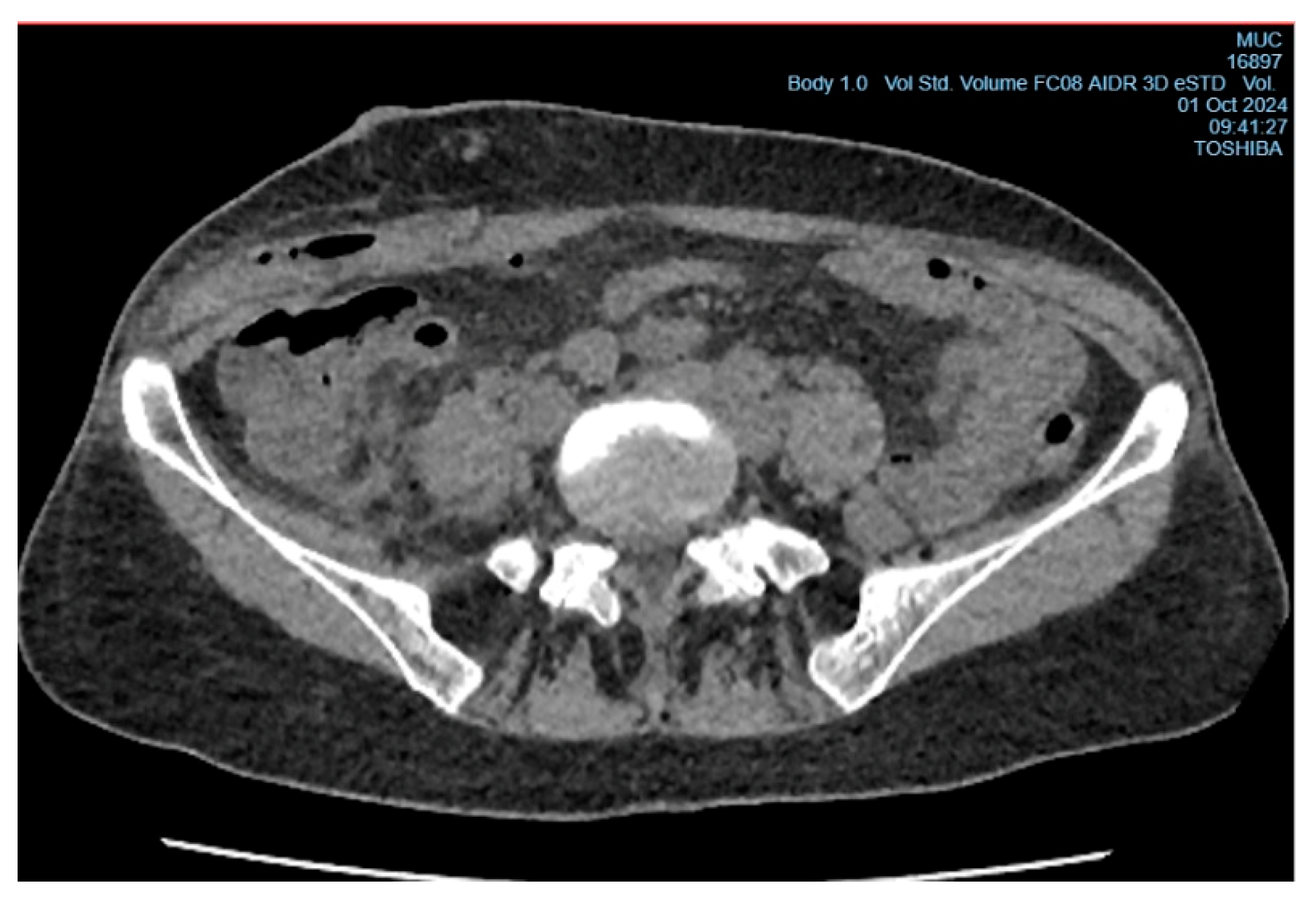 Preprints 156792 g004