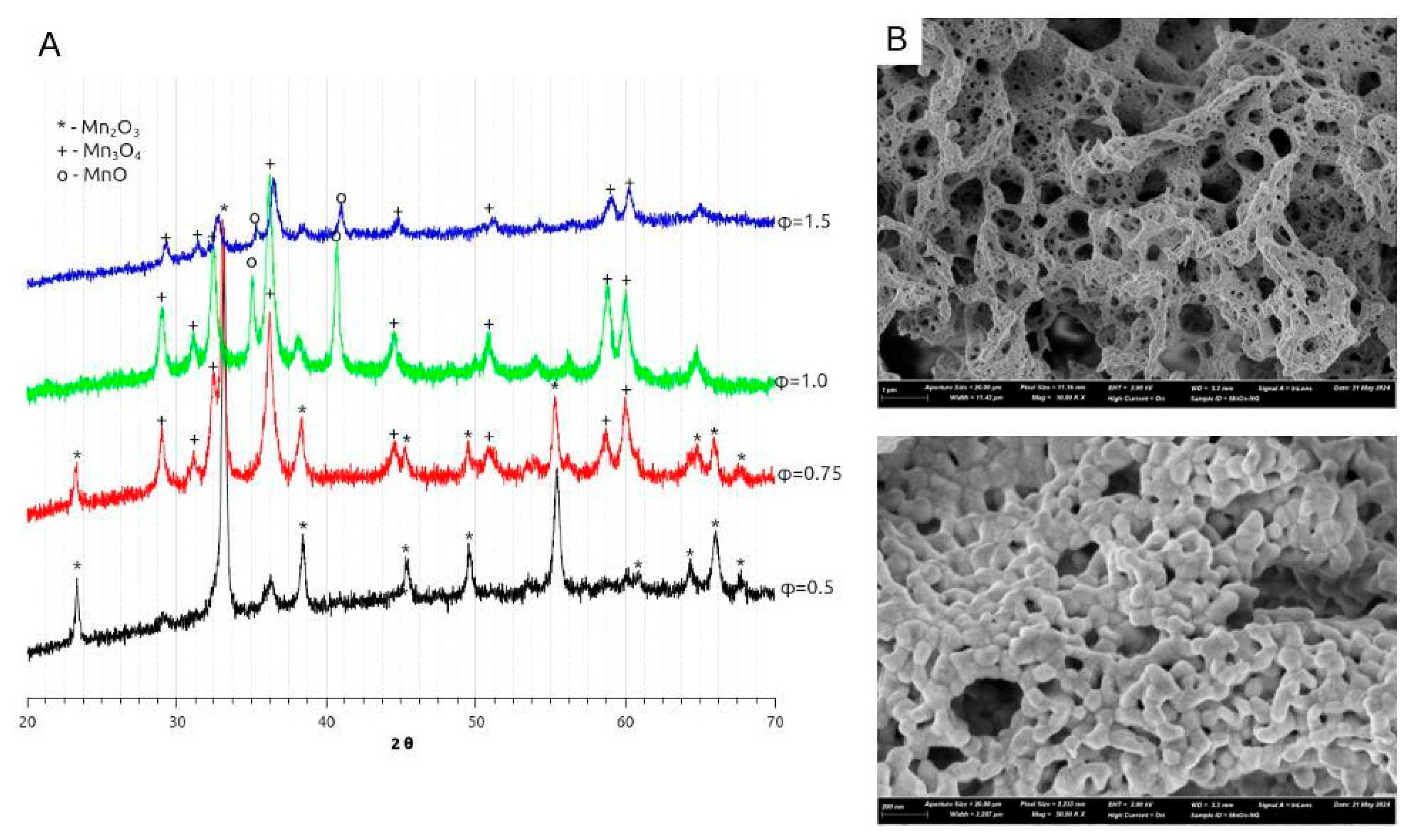Preprints 119053 g003