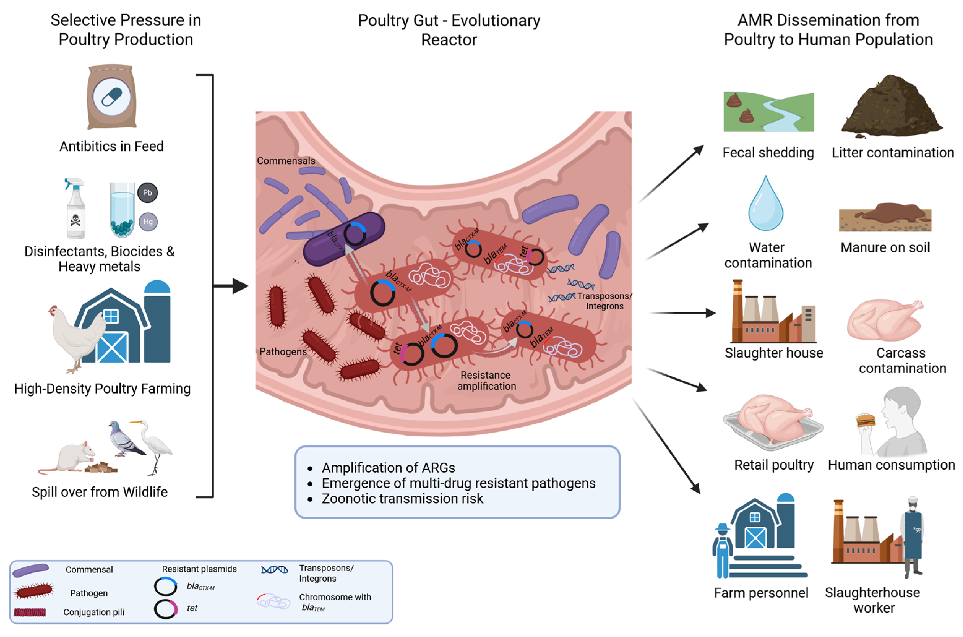 Preprints 209648 g001