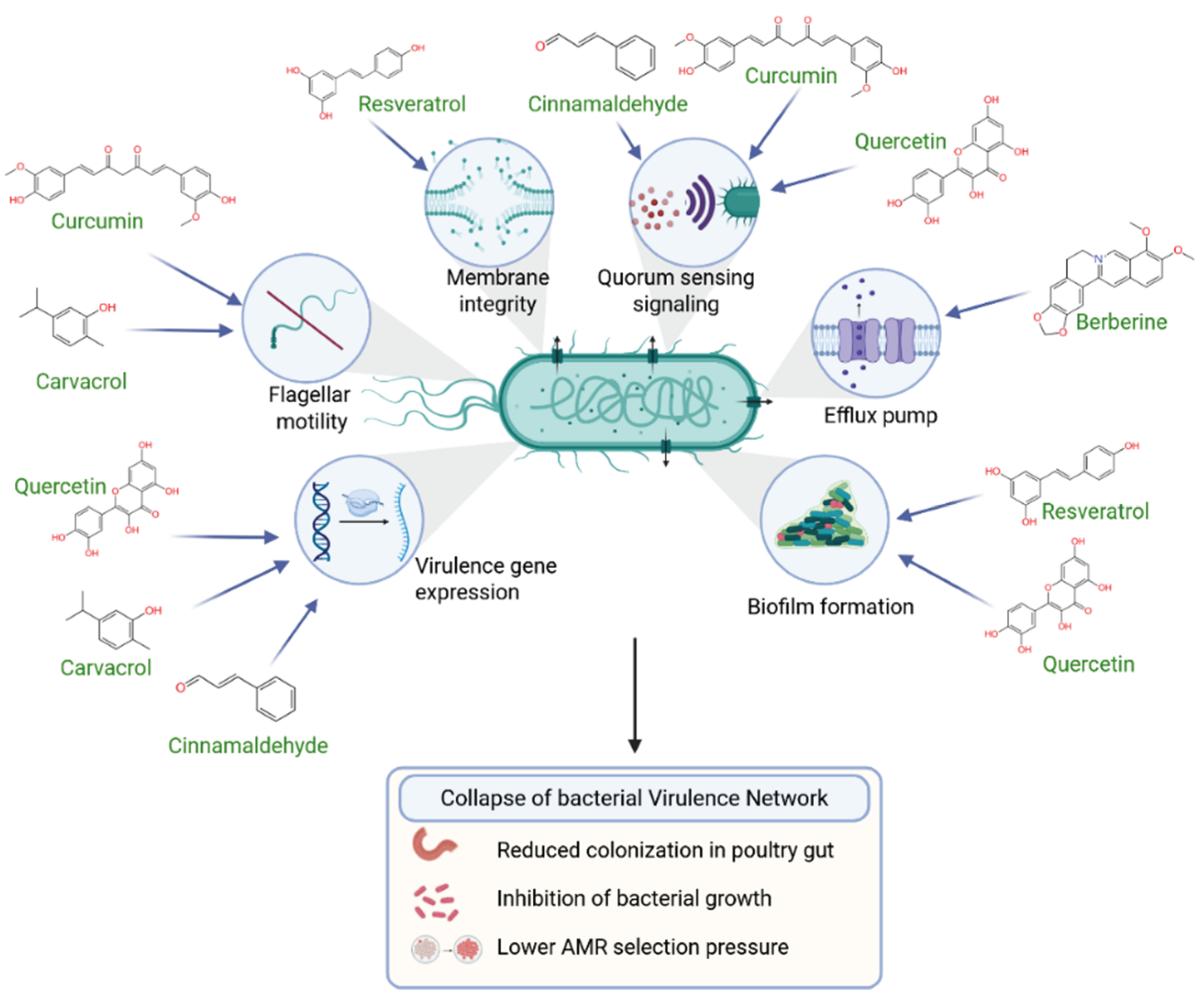 Preprints 209648 g002
