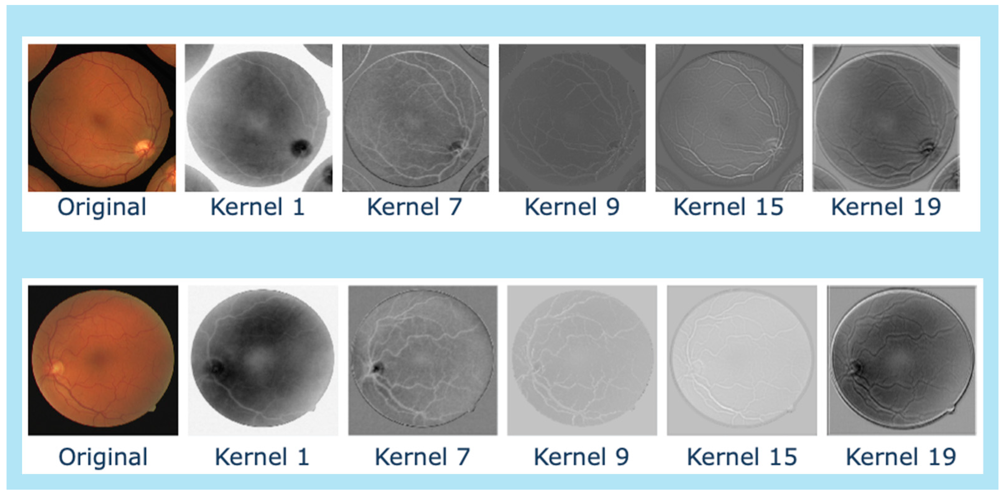 Preprints 121890 g003