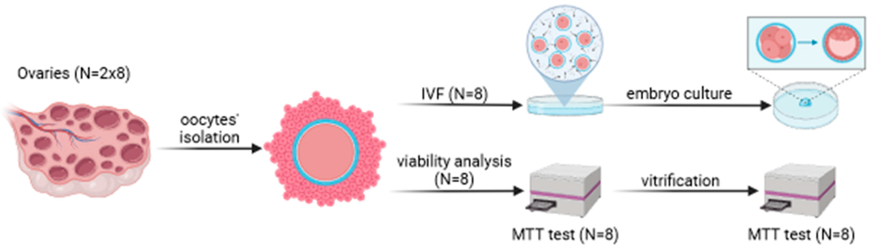 Preprints 149950 i001