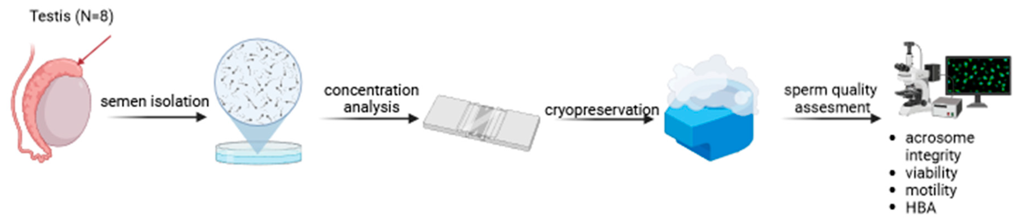 Preprints 149950 i002