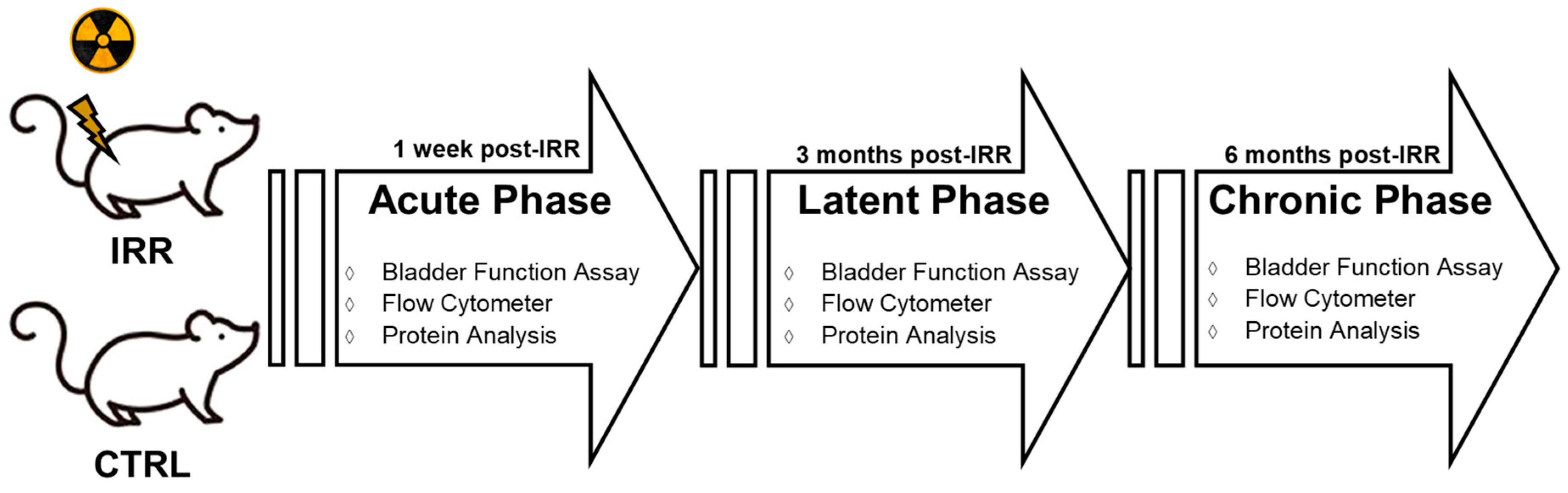 Preprints 193557 g001