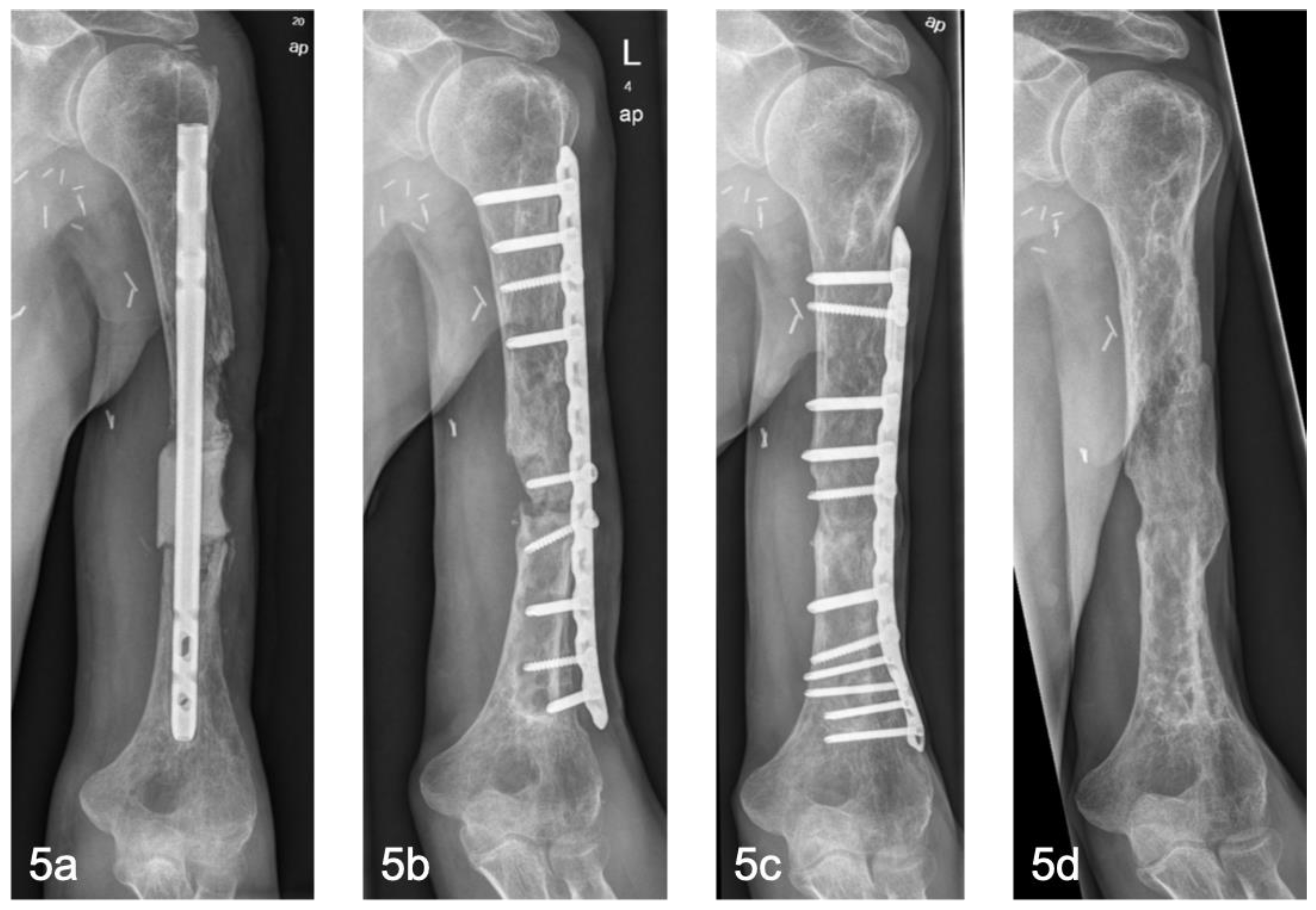 Preprints 165422 g005