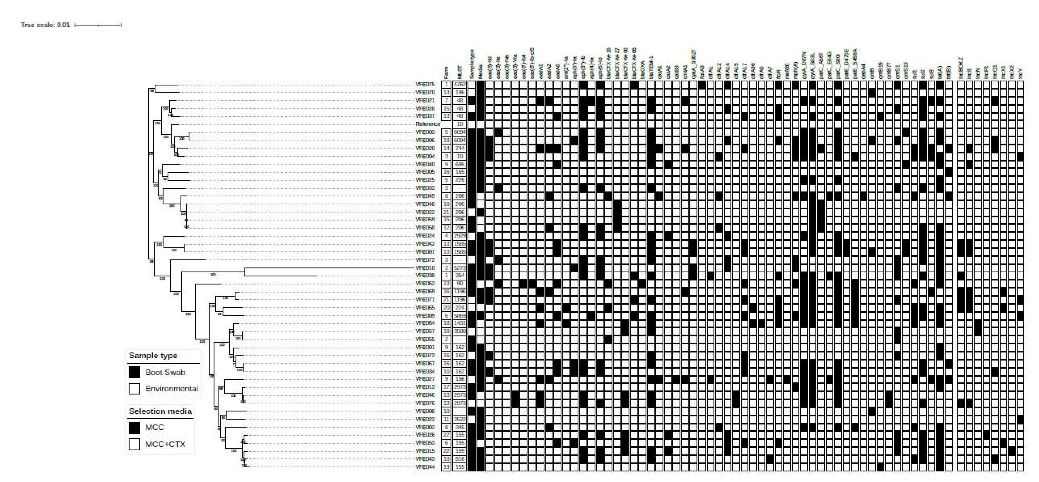 Preprints 143566 g003