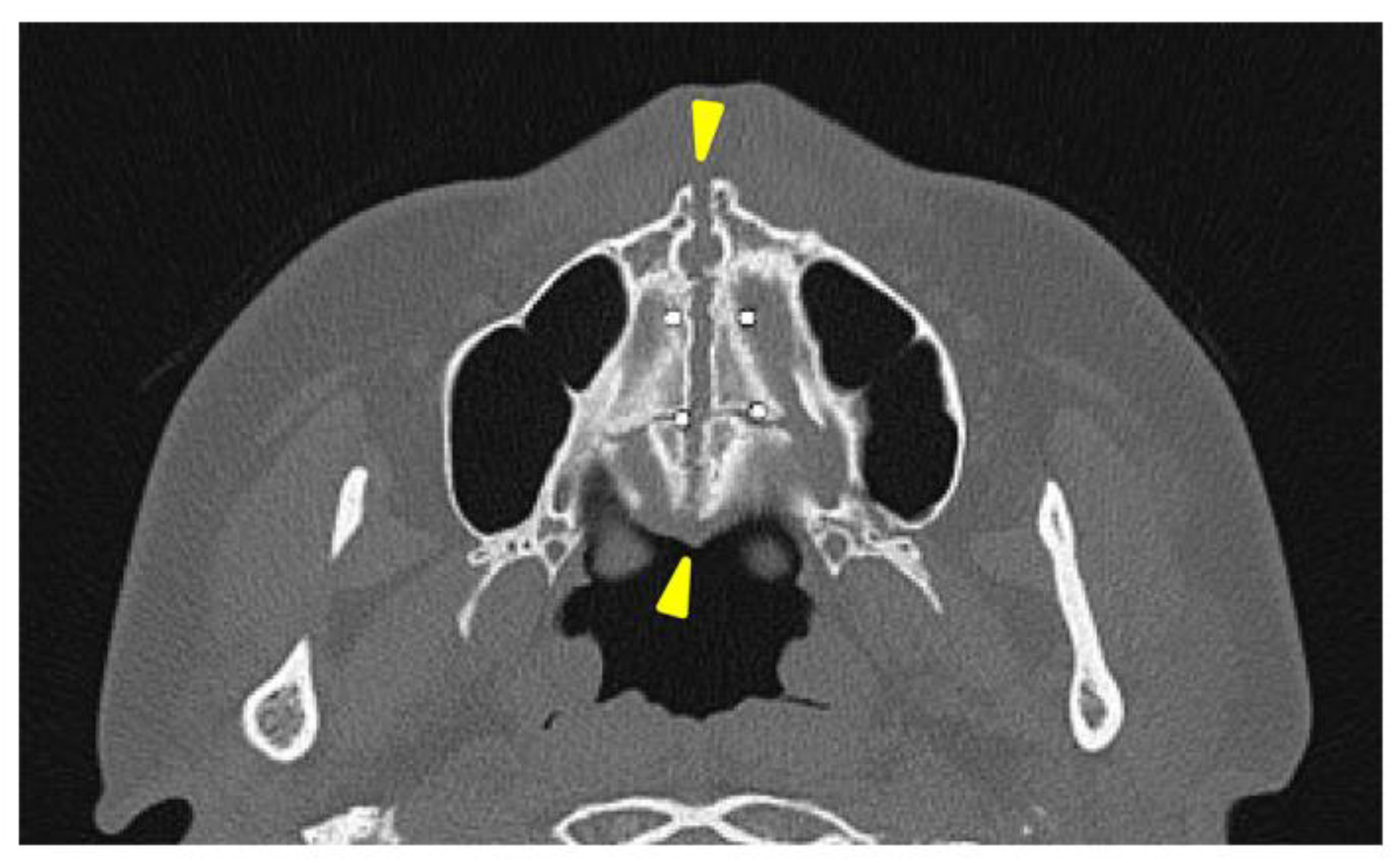 Preprints 149648 g003