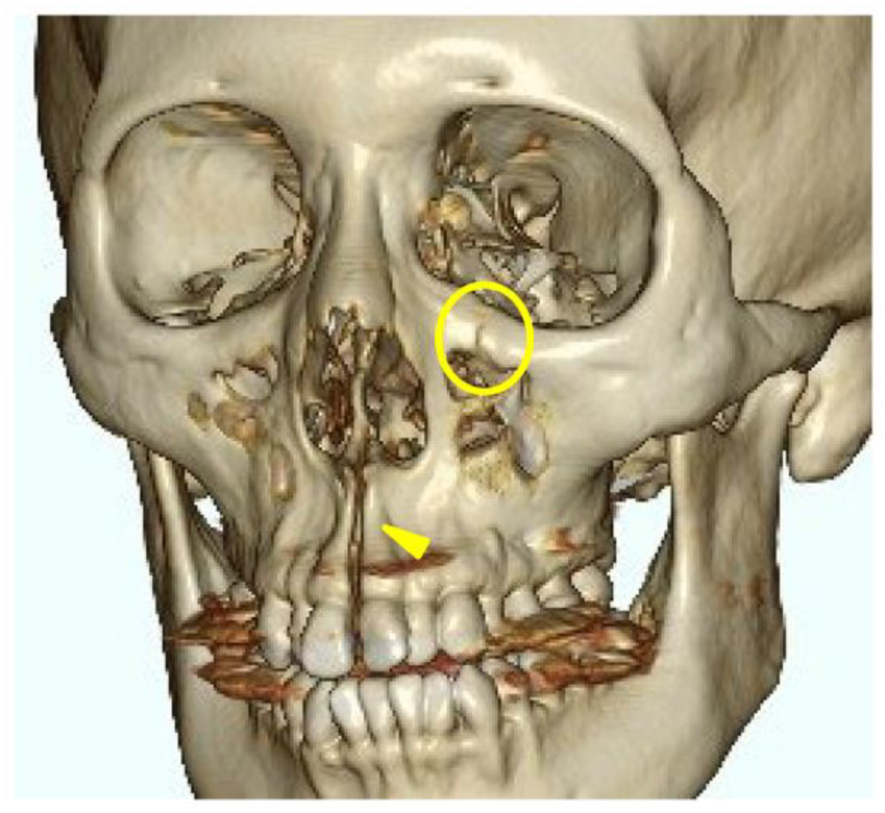 Preprints 149648 g004
