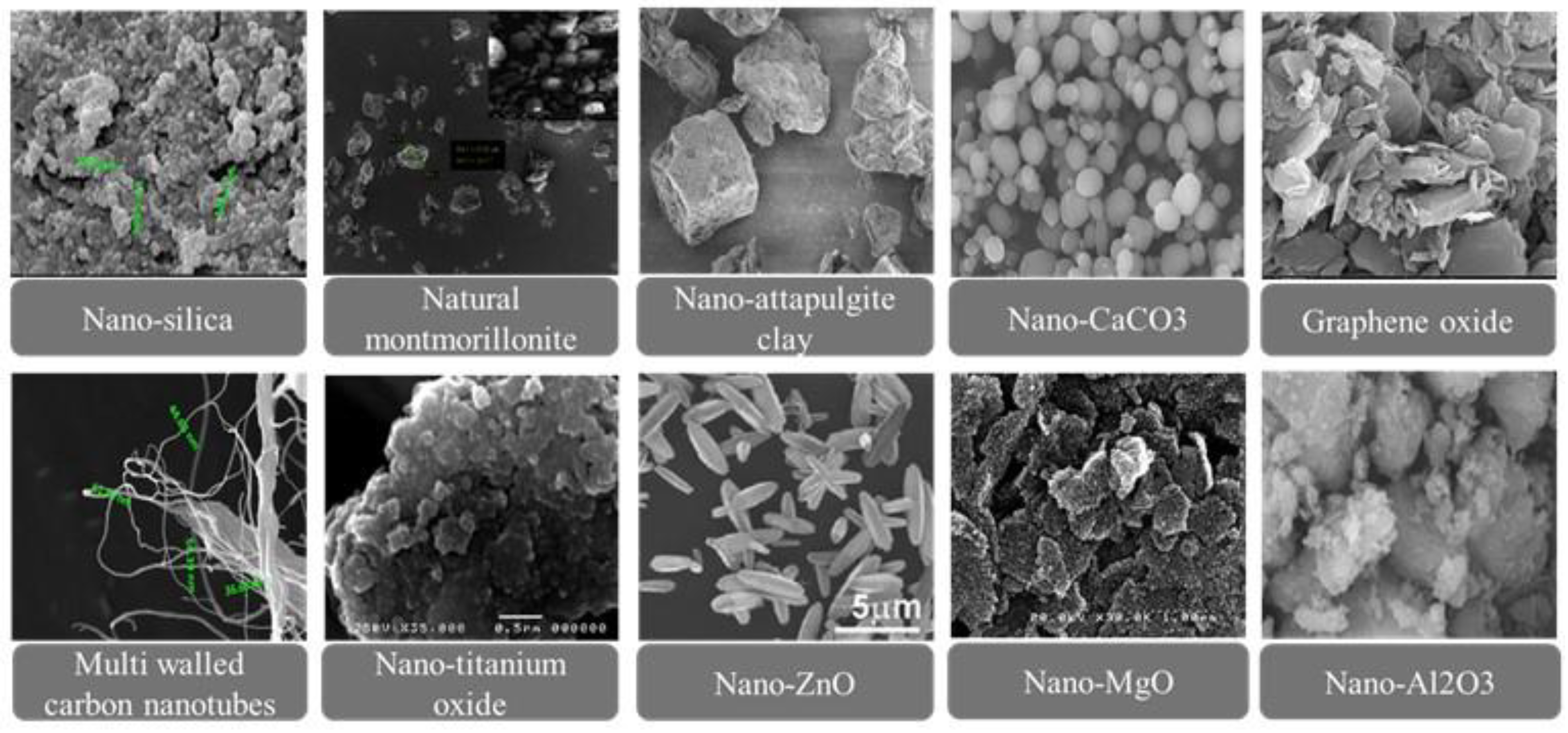 Preprints 177457 g005