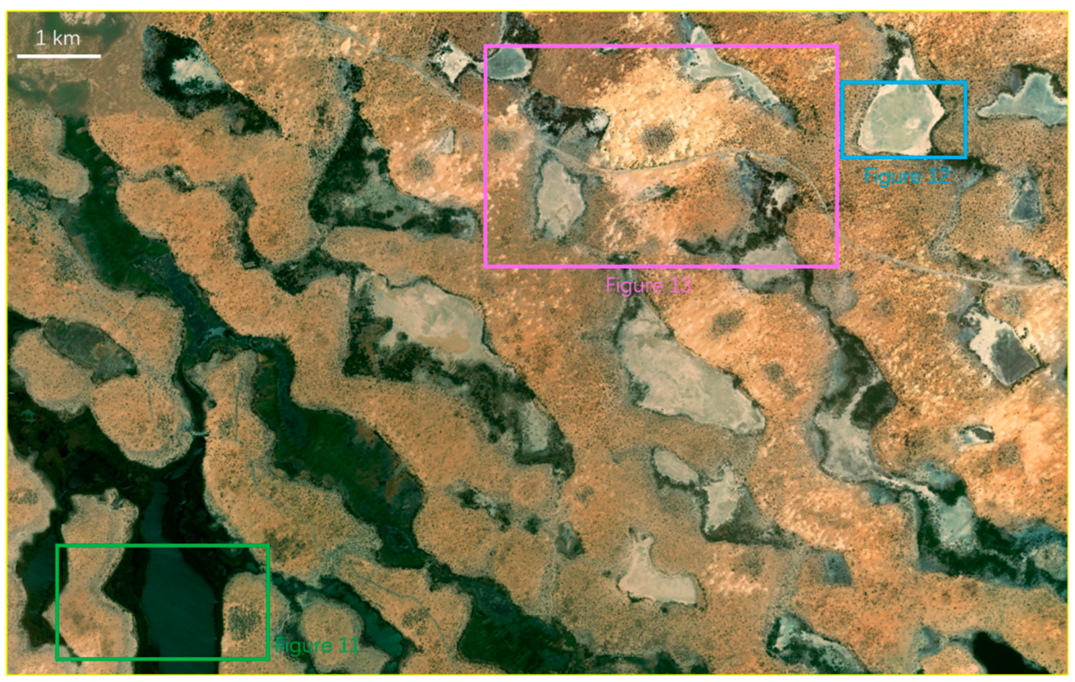 Preprints 145177 g010