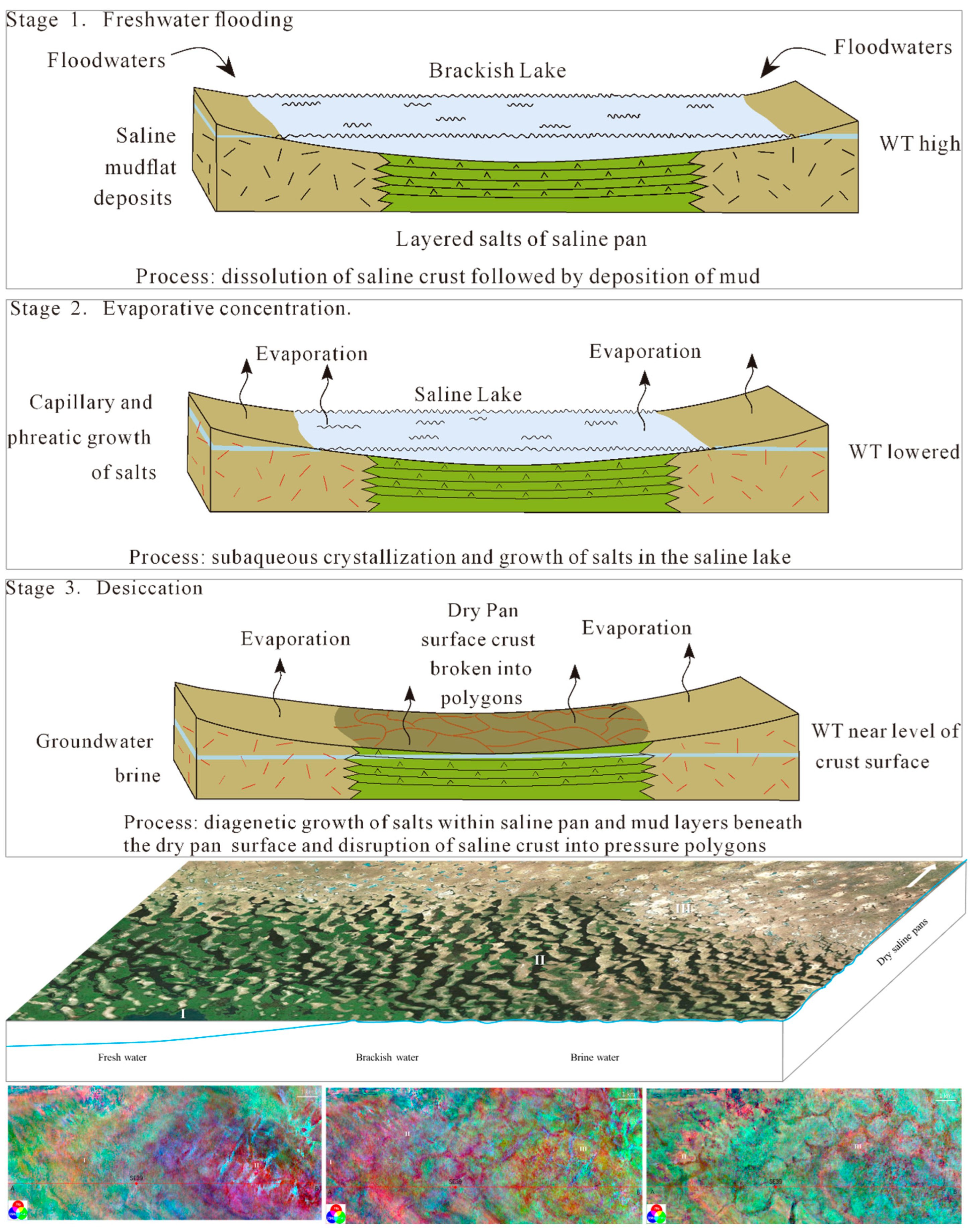 Preprints 145177 g014