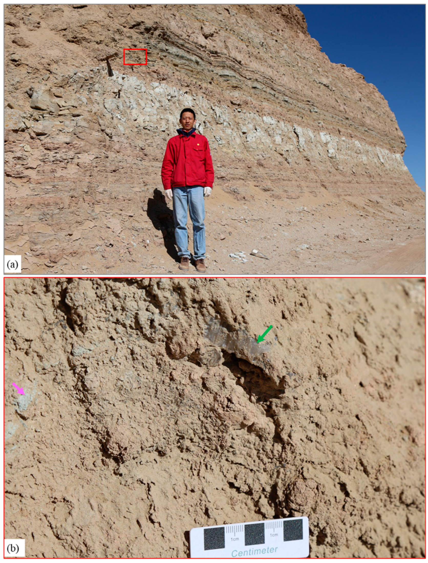 Preprints 145177 g015