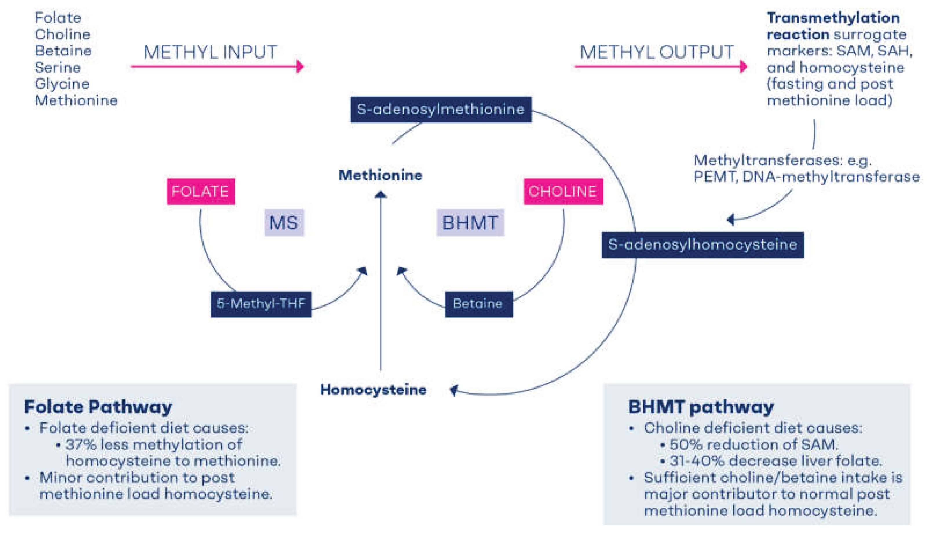 Preprints 168180 g001