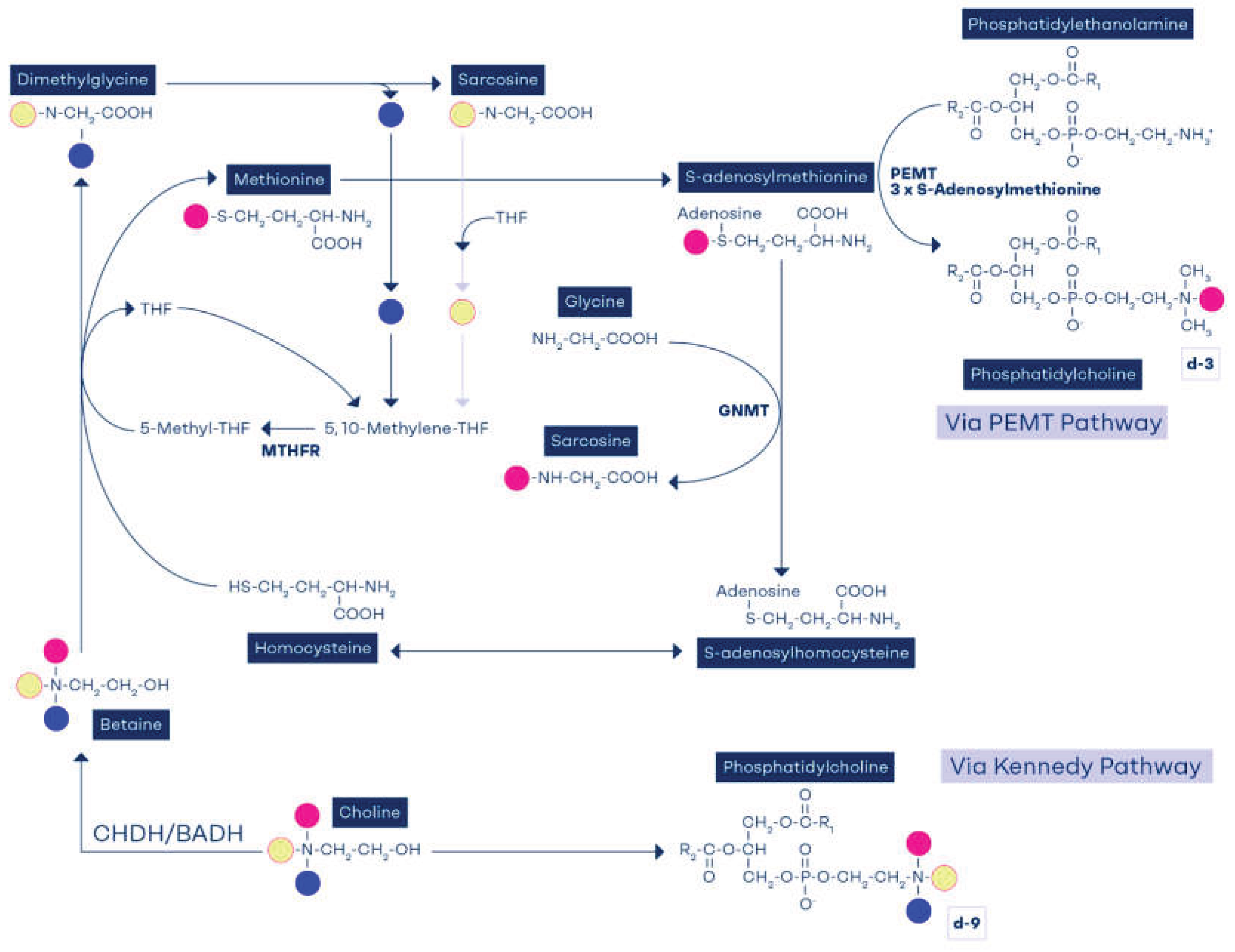 Preprints 168180 g002