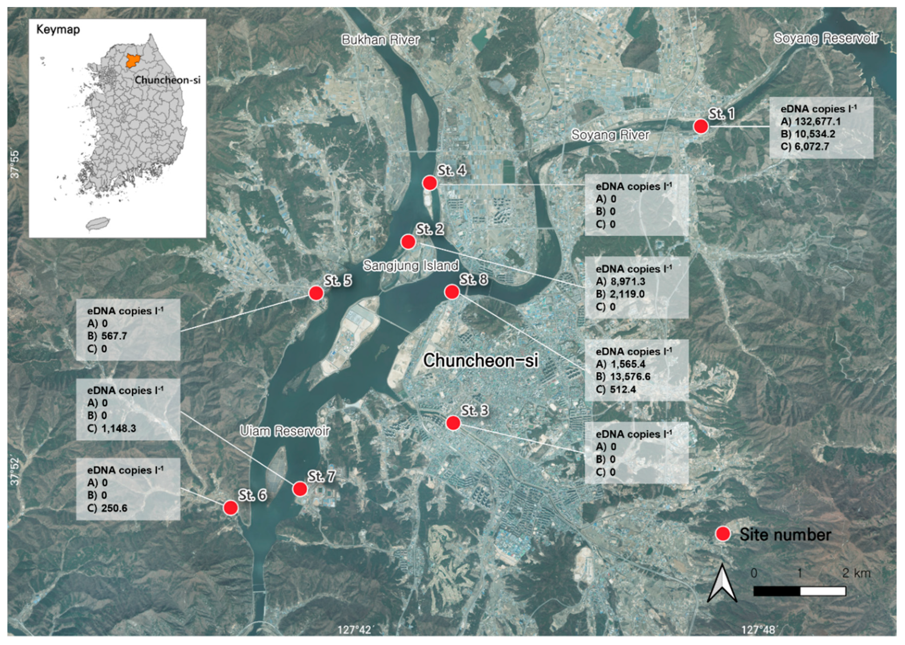 Preprints 148346 g003