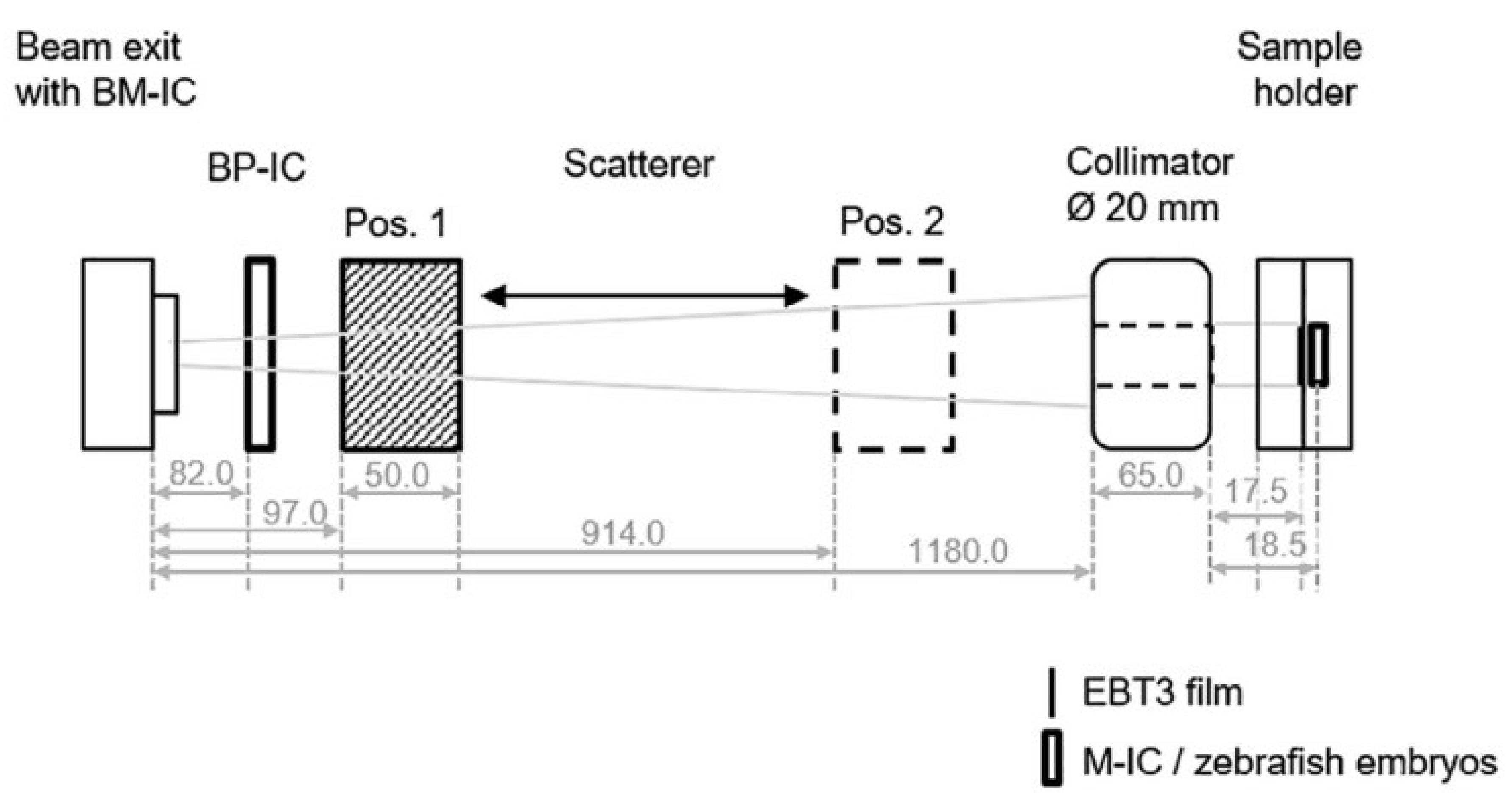 Preprints 83111 g006