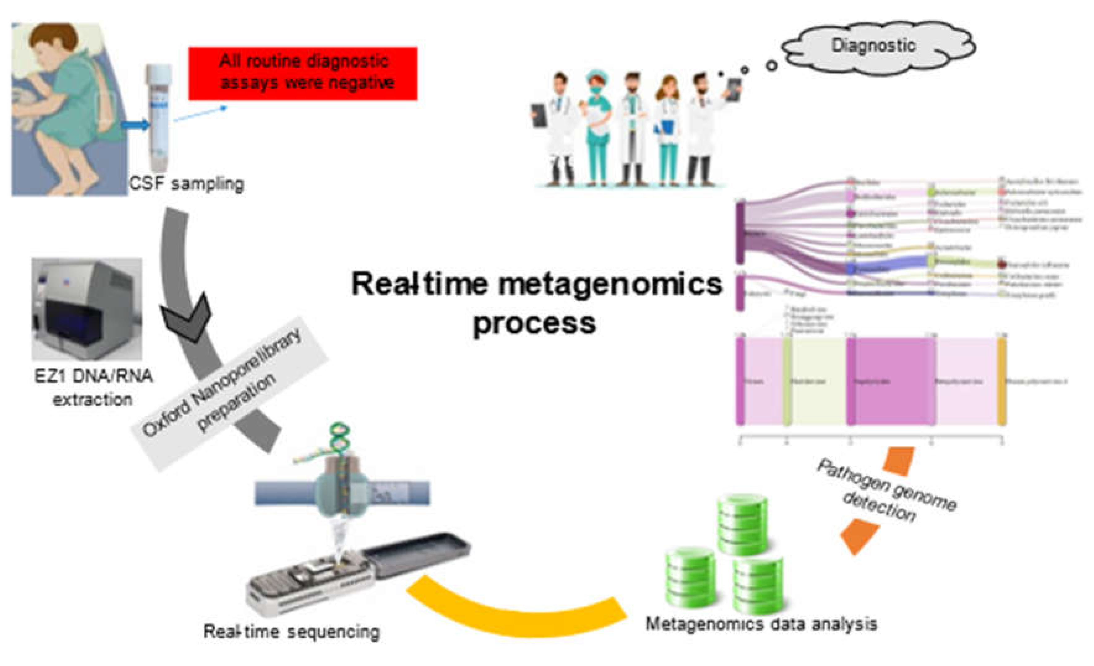 Preprints 82512 g001
