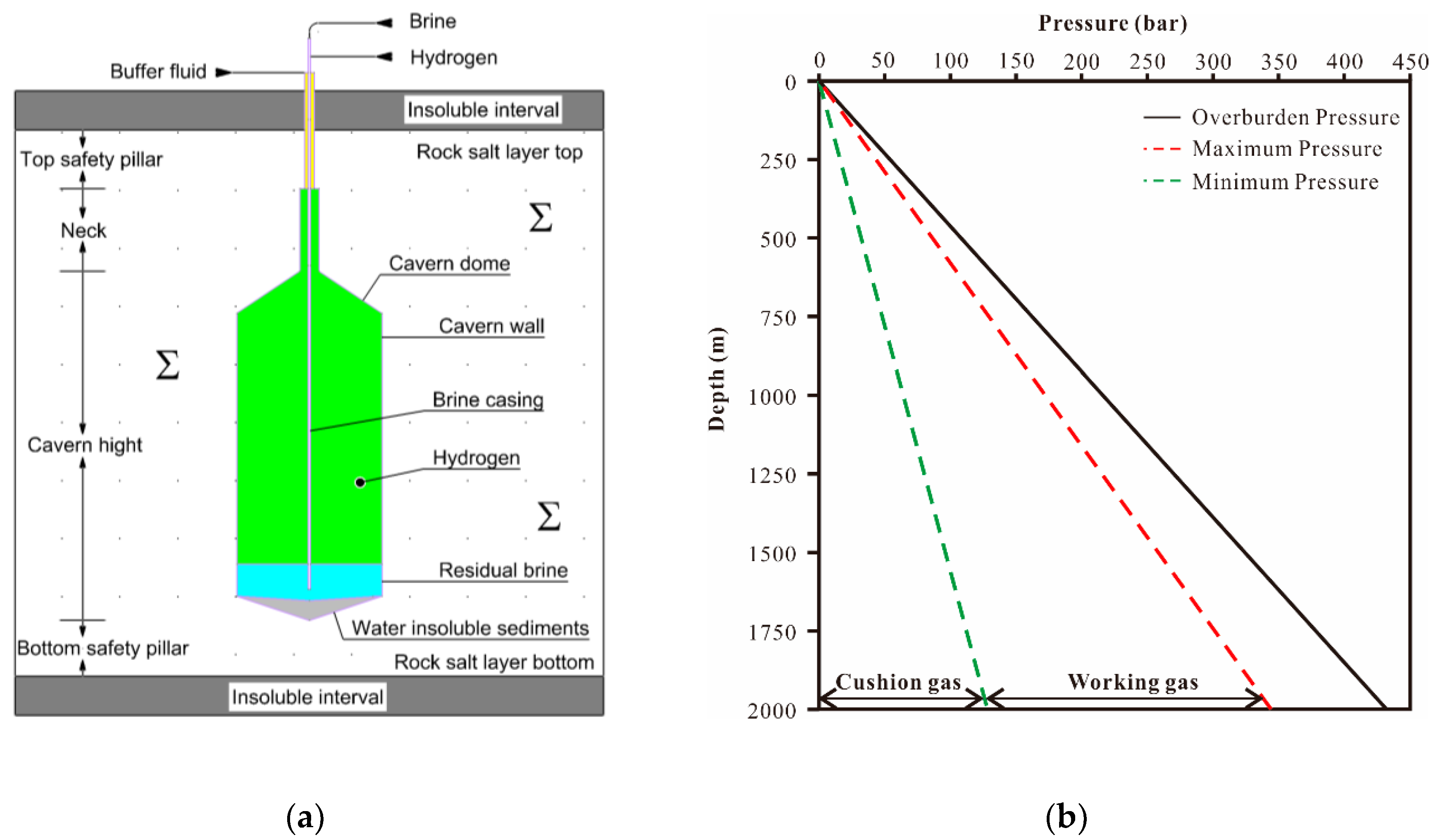 Preprints 149472 g005