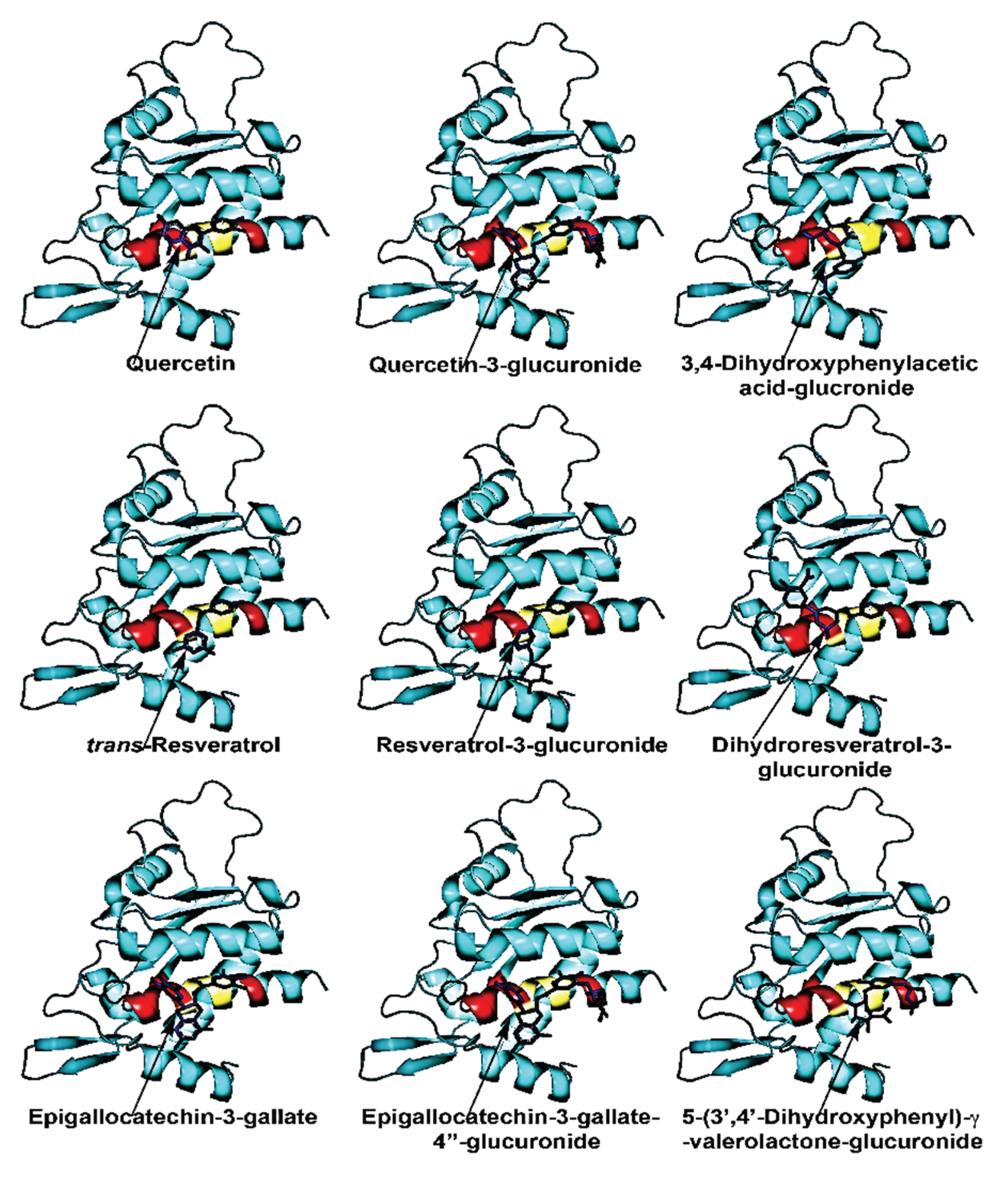 Preprints 197625 g002