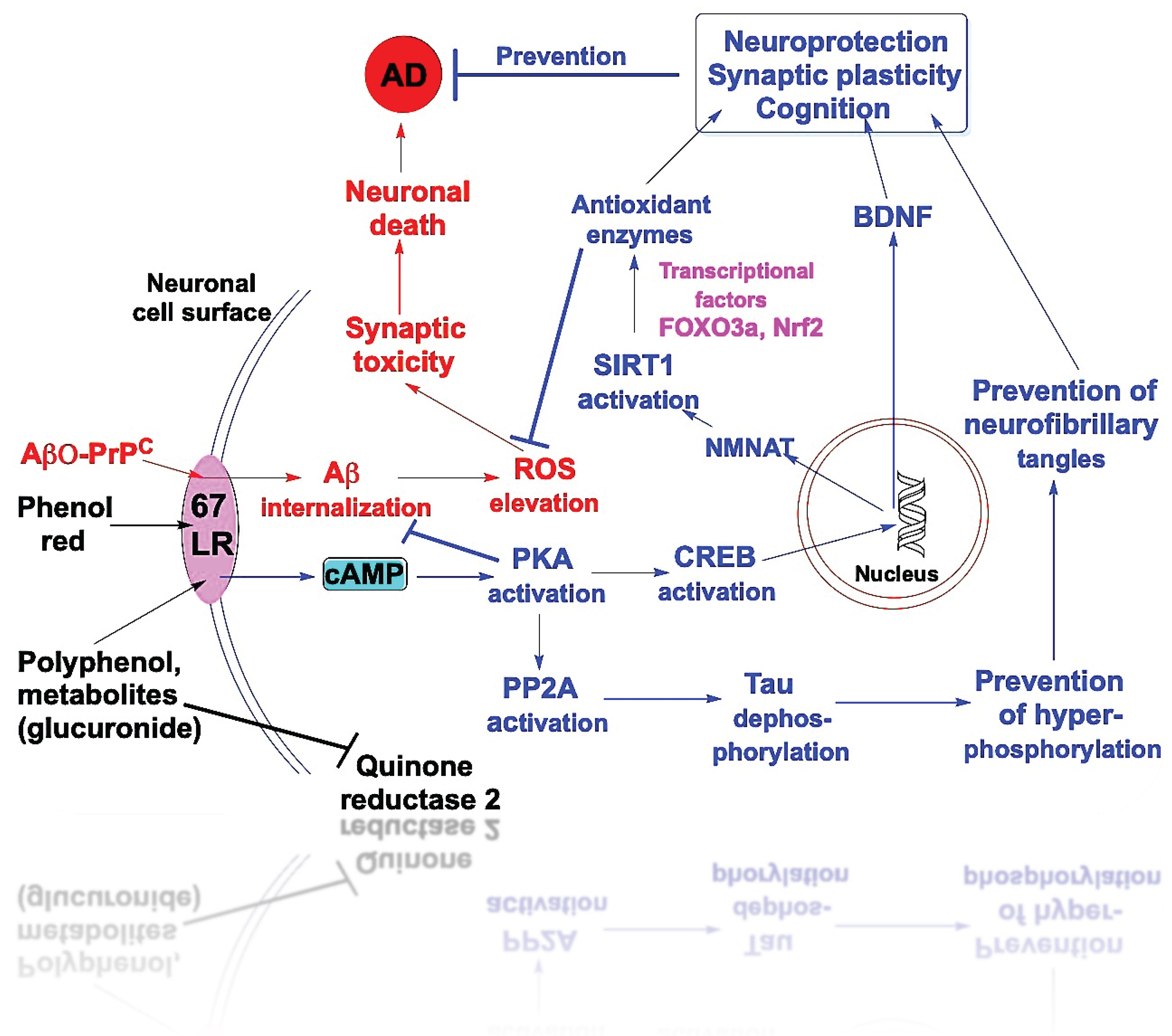 Preprints 197625 g004