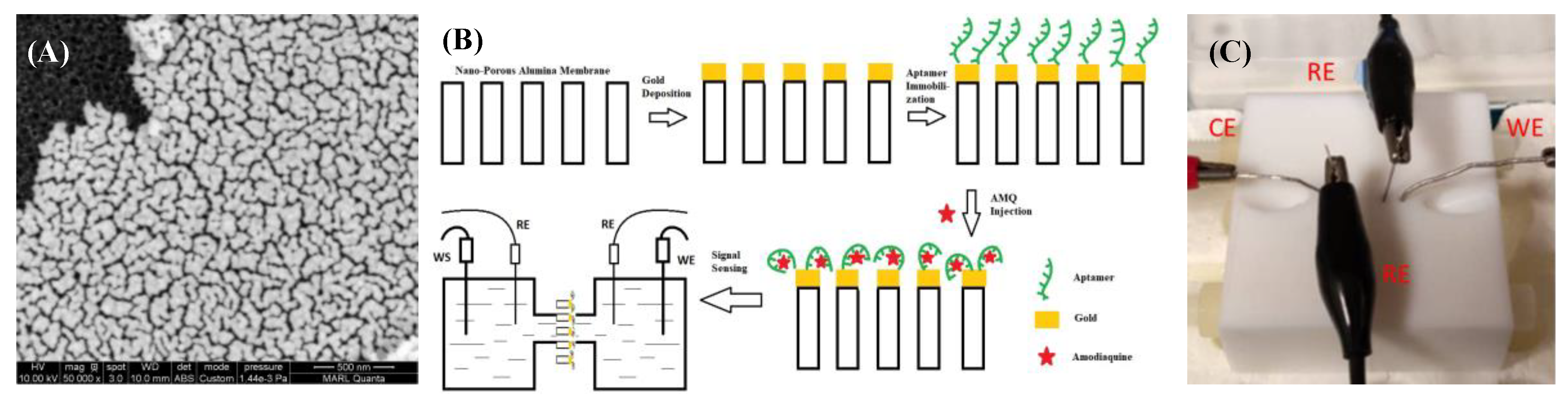 Preprints 144231 g001