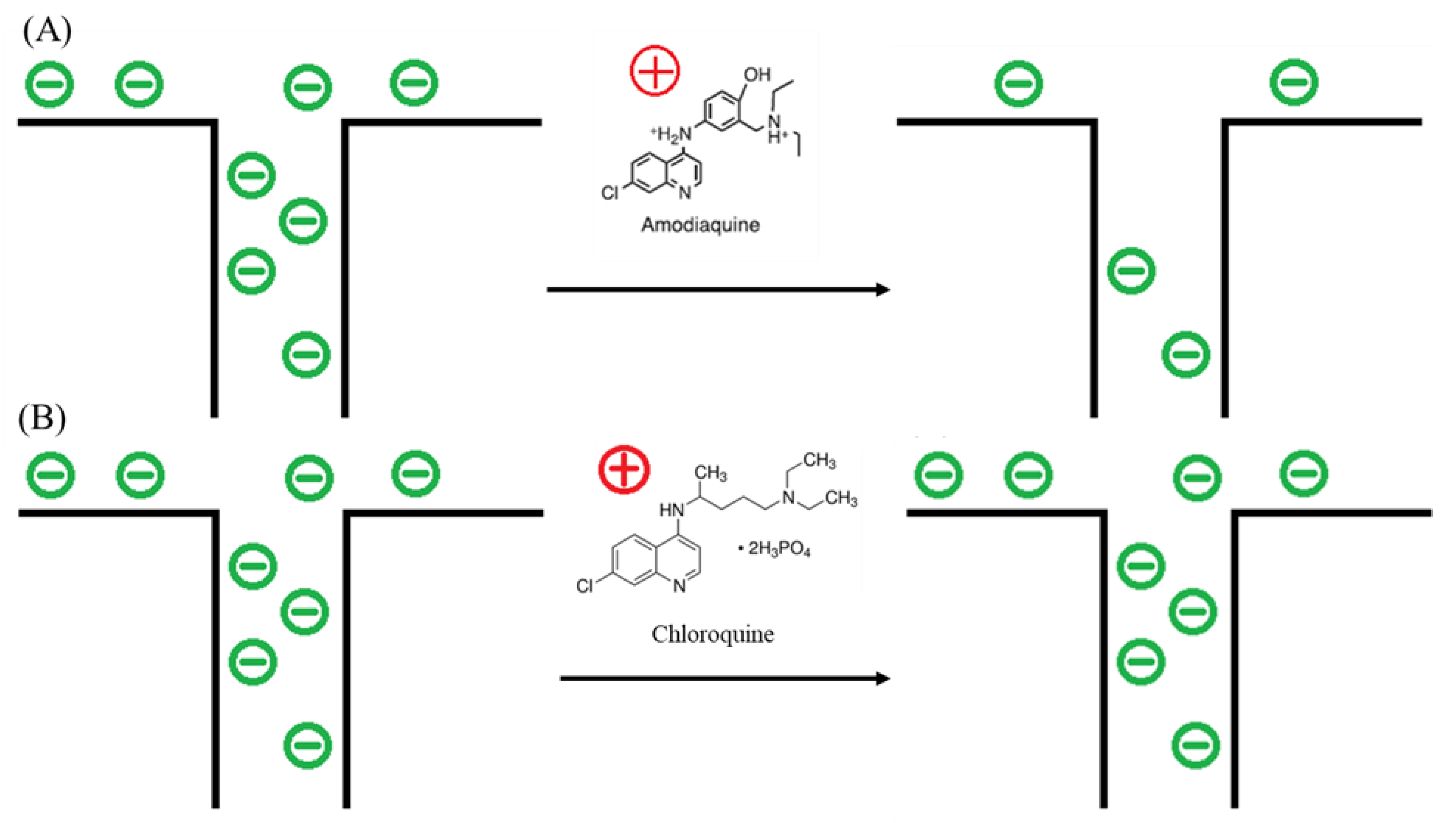Preprints 144231 g005