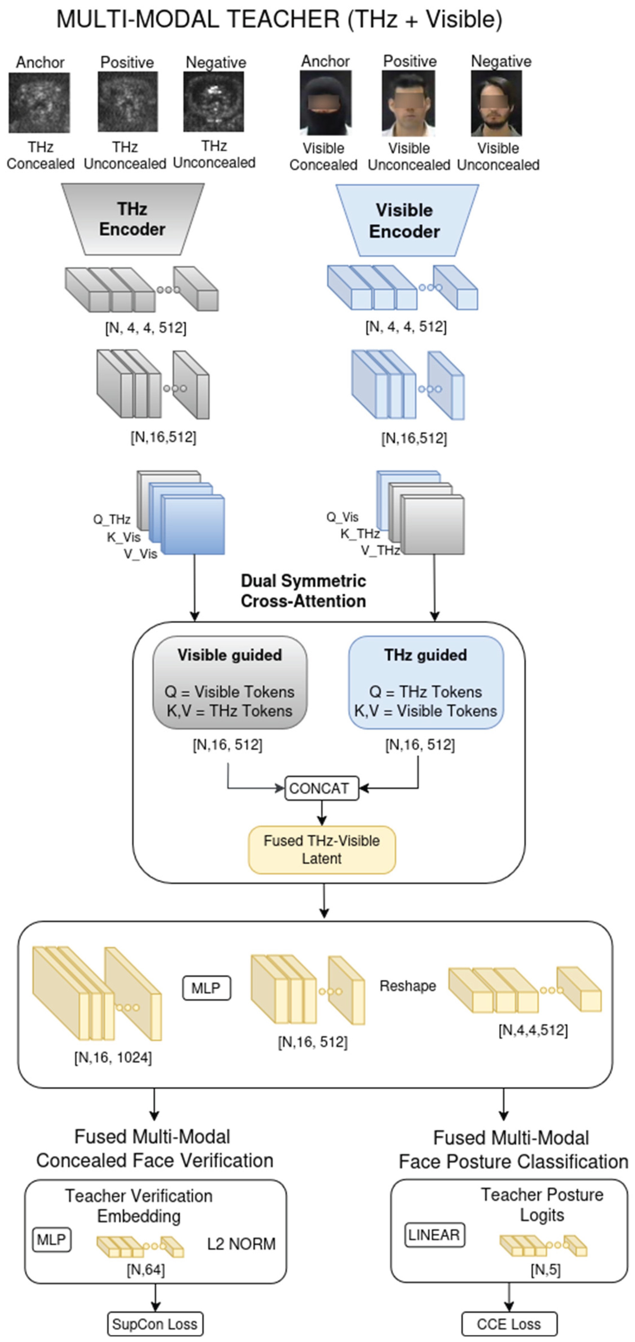 Preprints 195725 g004