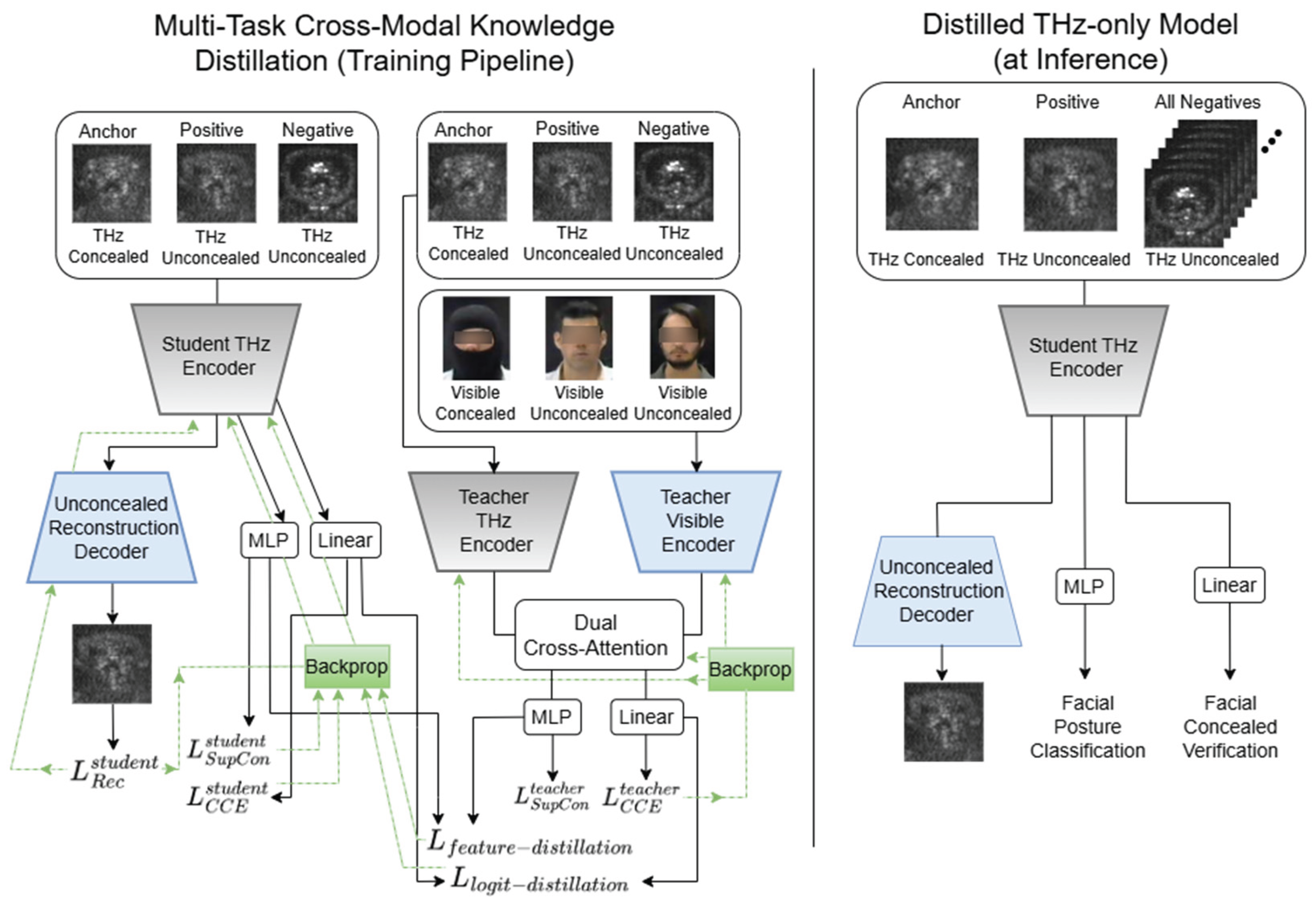 Preprints 195725 g005