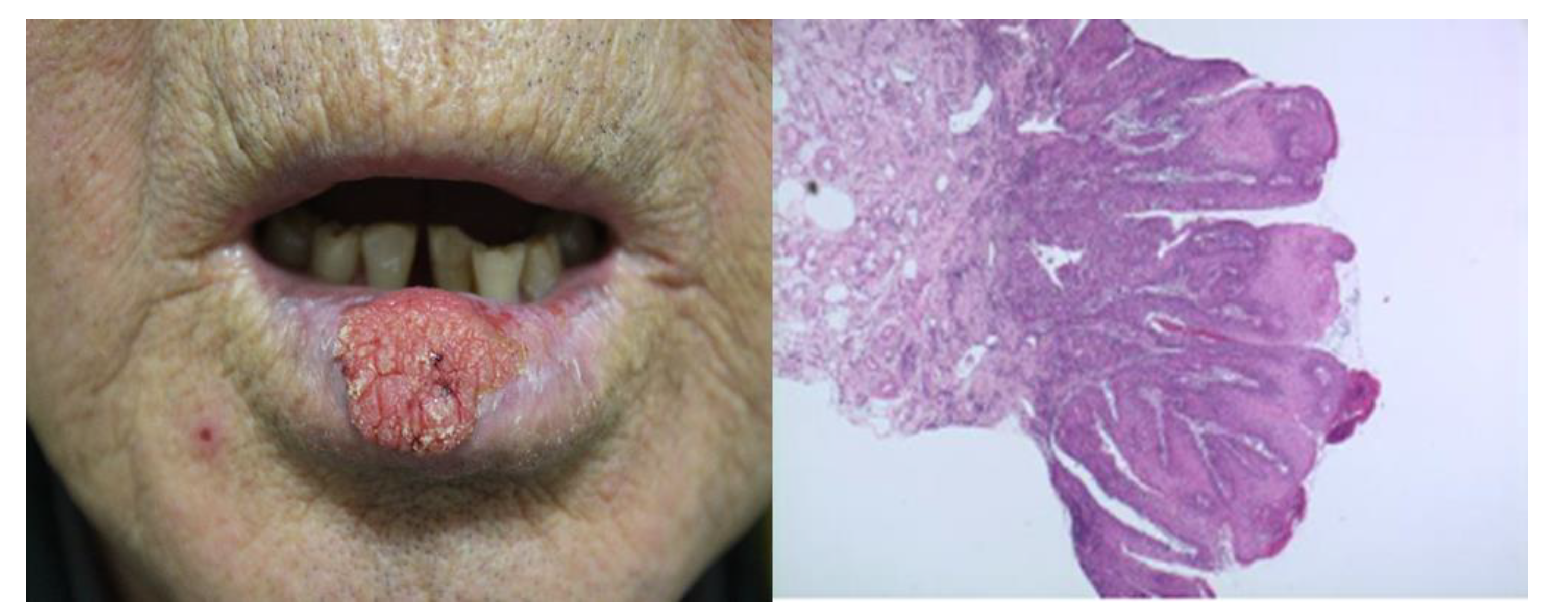 Preprints 184284 g001