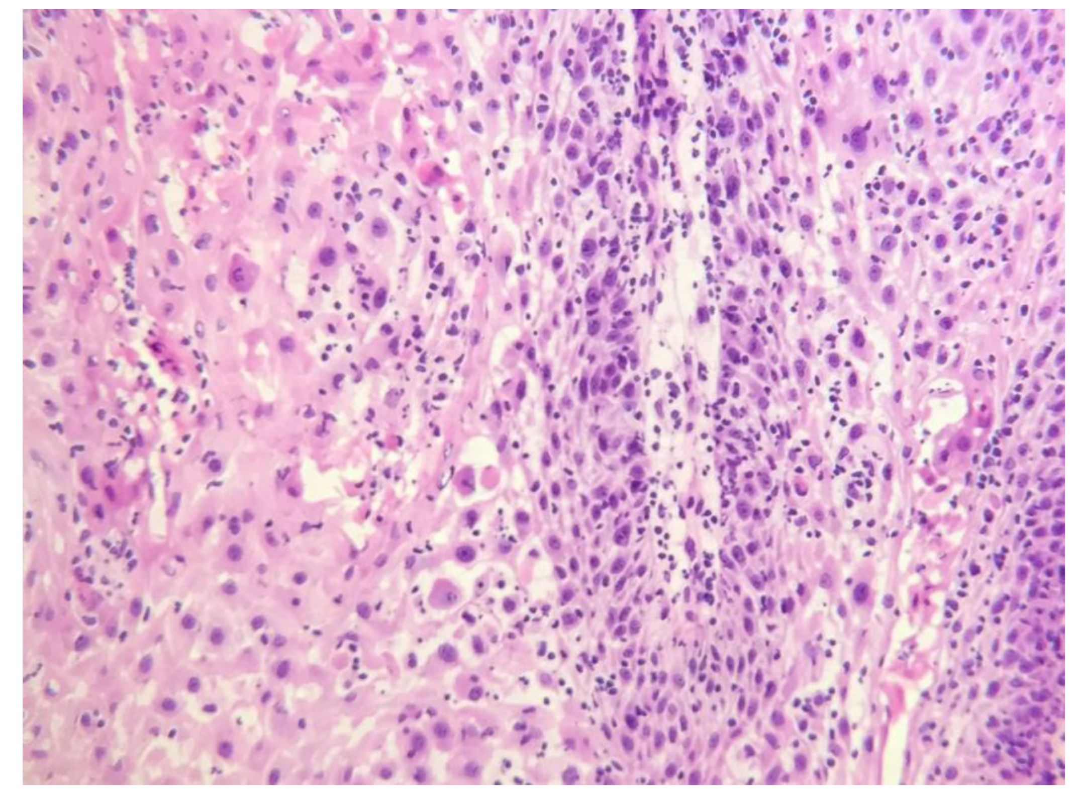 Preprints 184284 g004