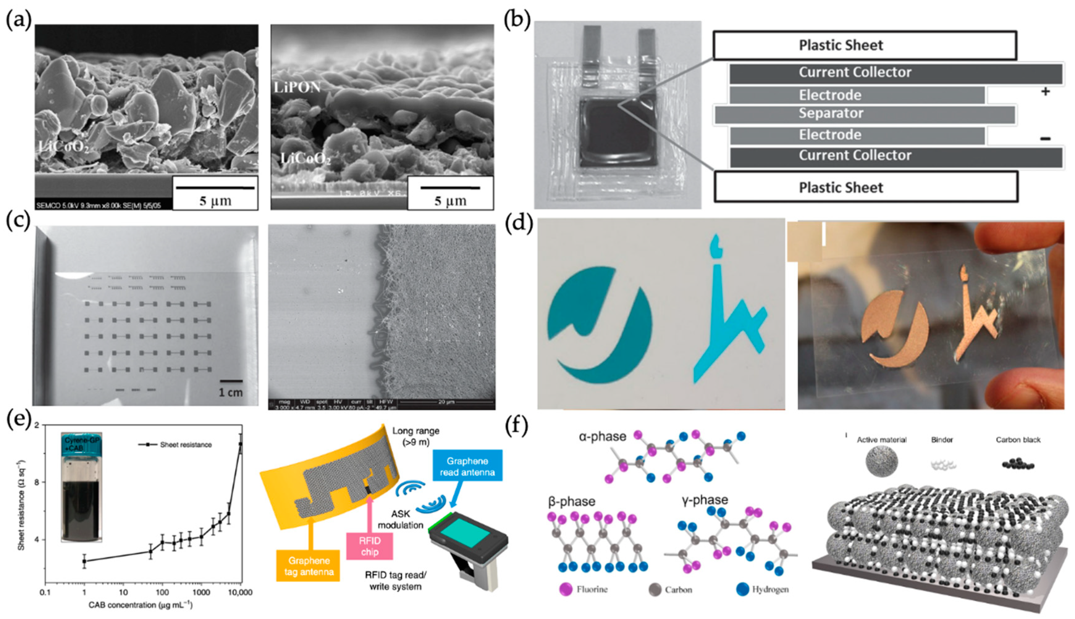 Preprints 156062 g006