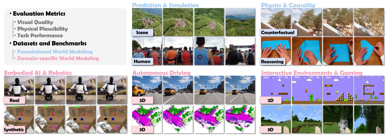 From Seeing to Knowing the World: A Survey of Vision World Models