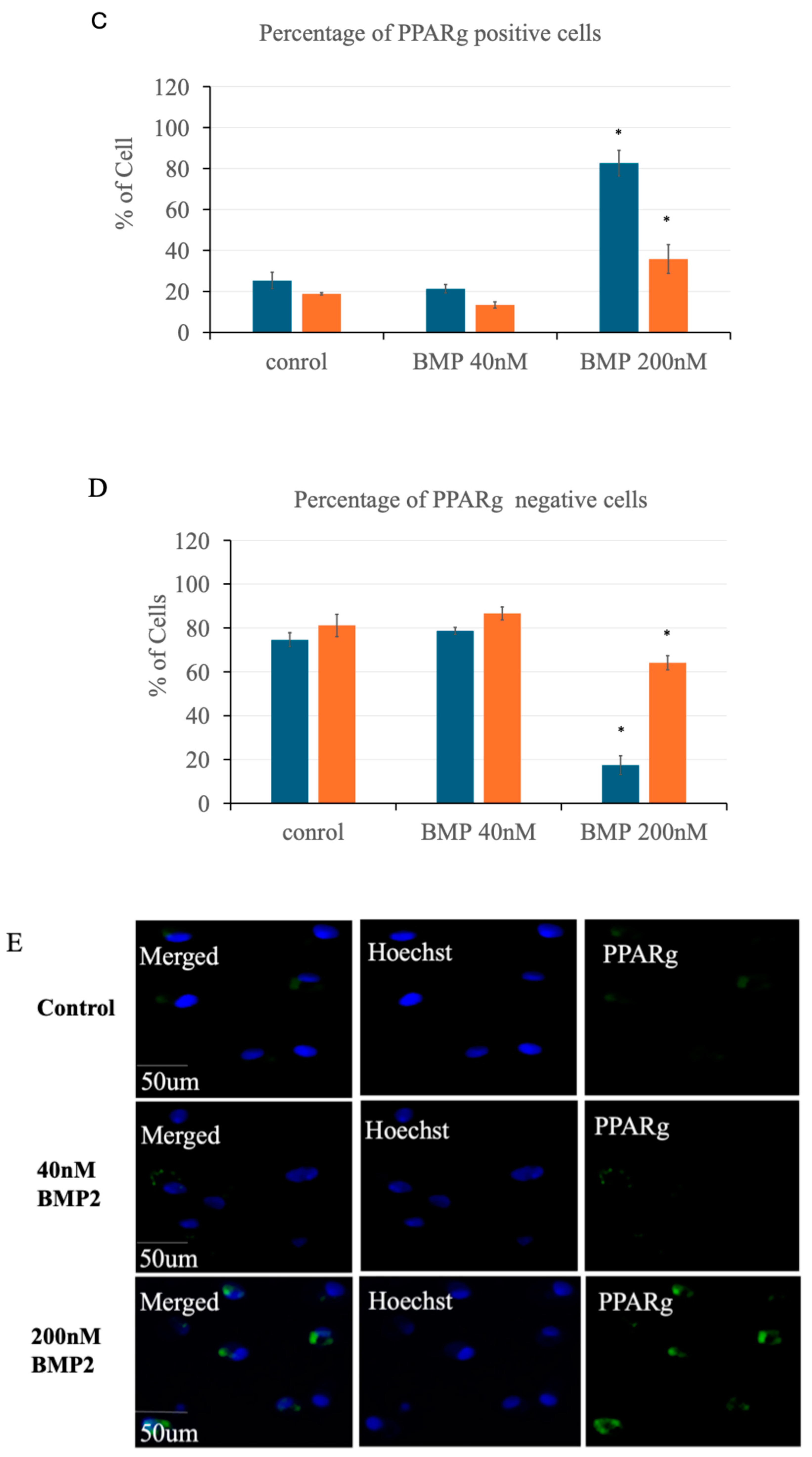 Preprints 155674 g007b
