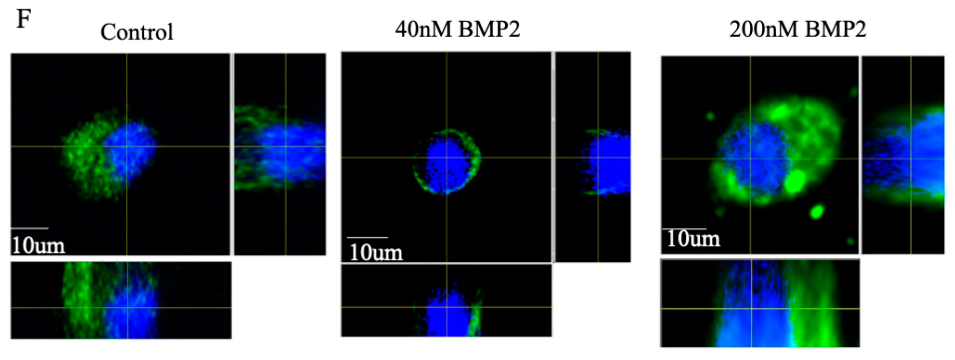 Preprints 155674 g007c