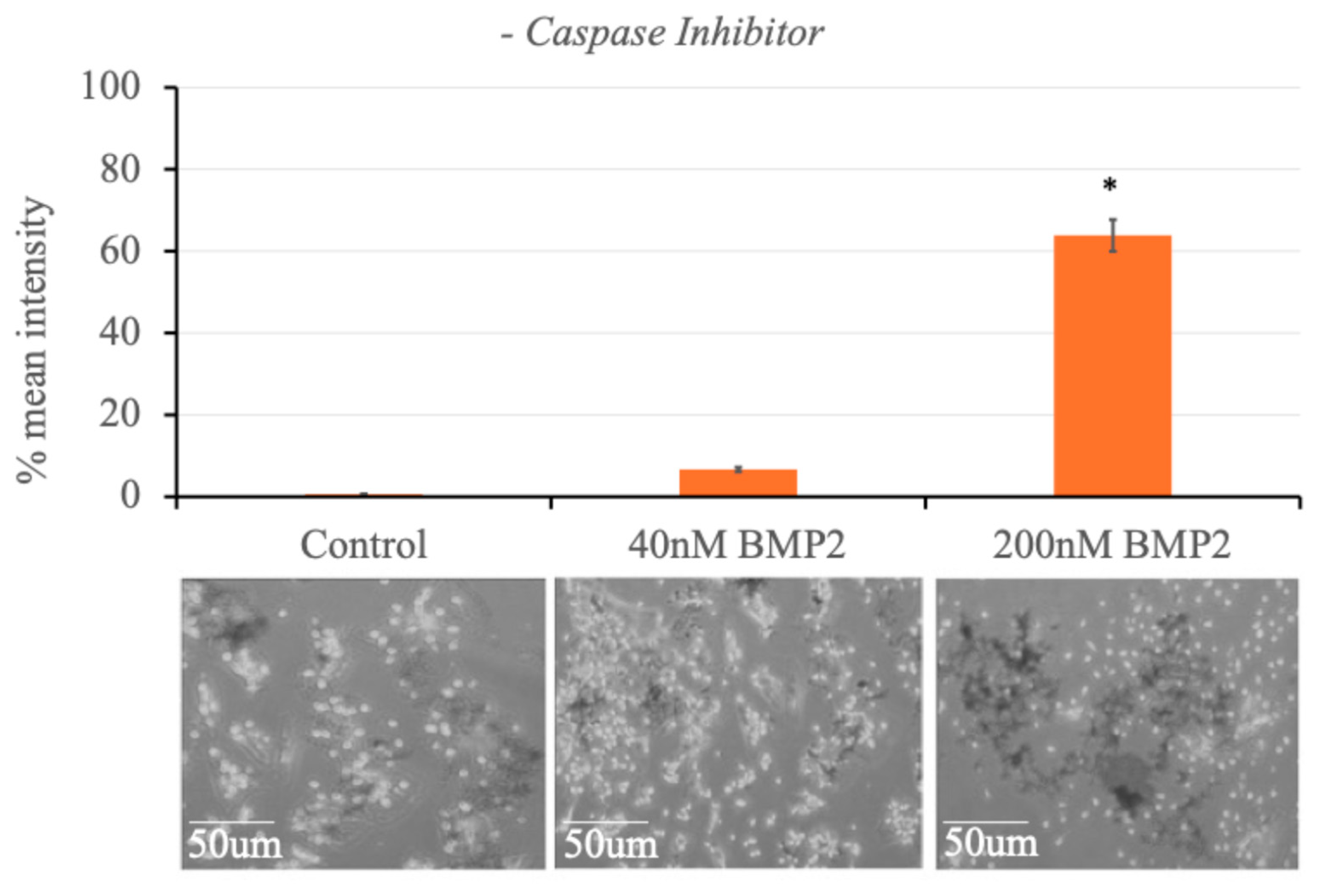 Preprints 155674 g008a