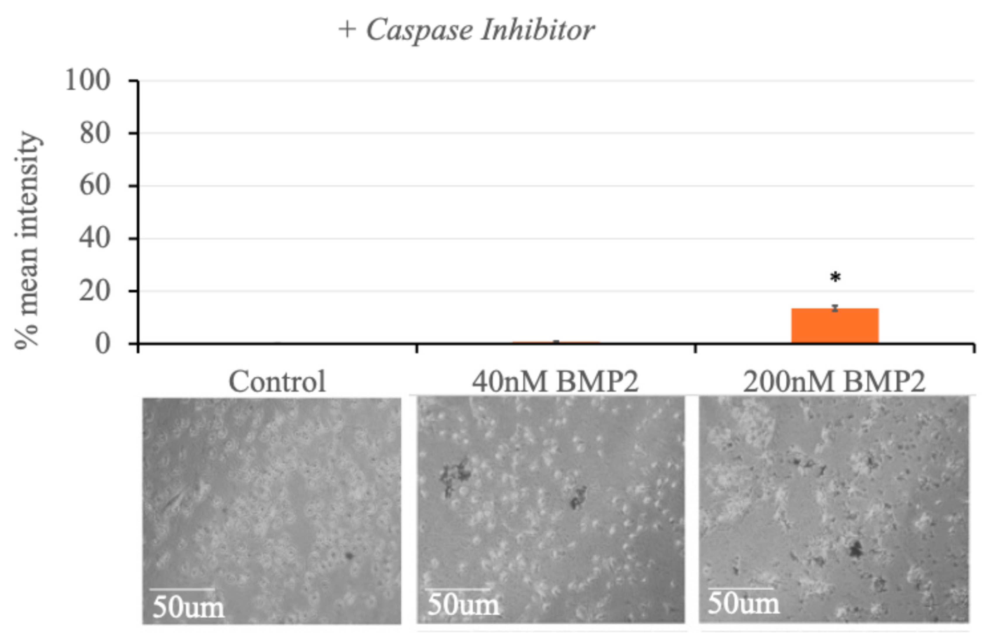 Preprints 155674 g008b