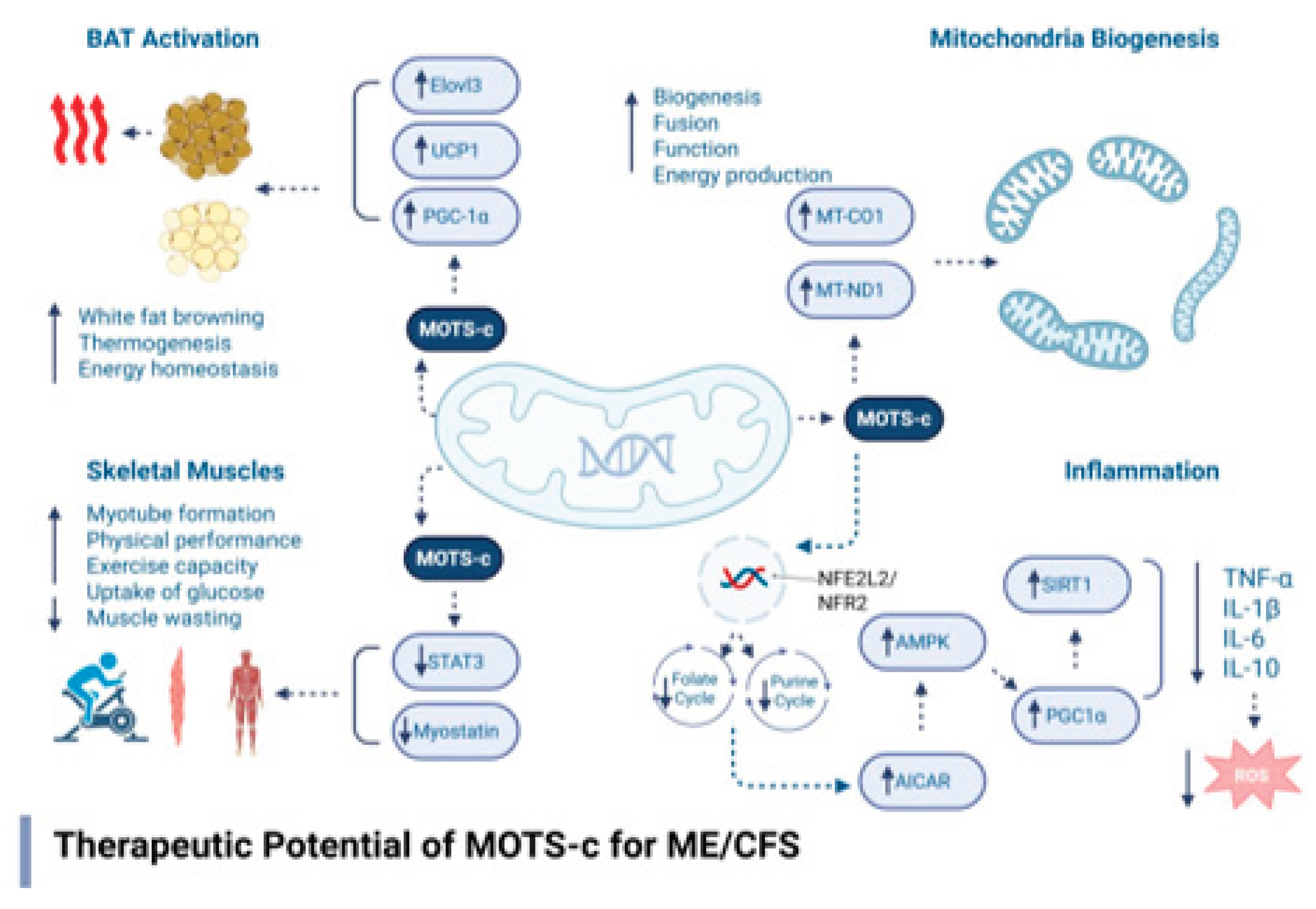 Preprints 167761 g001