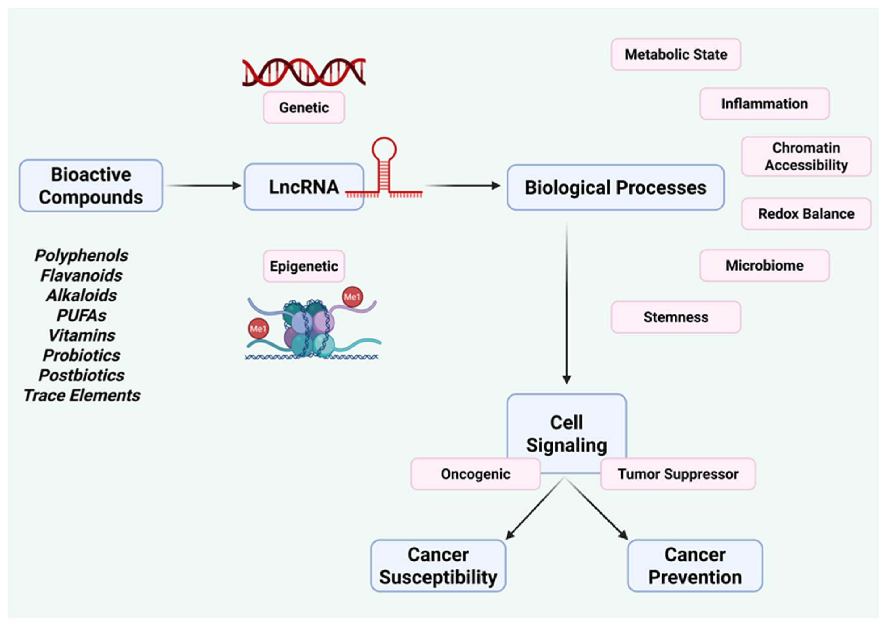 Preprints 192225 g001