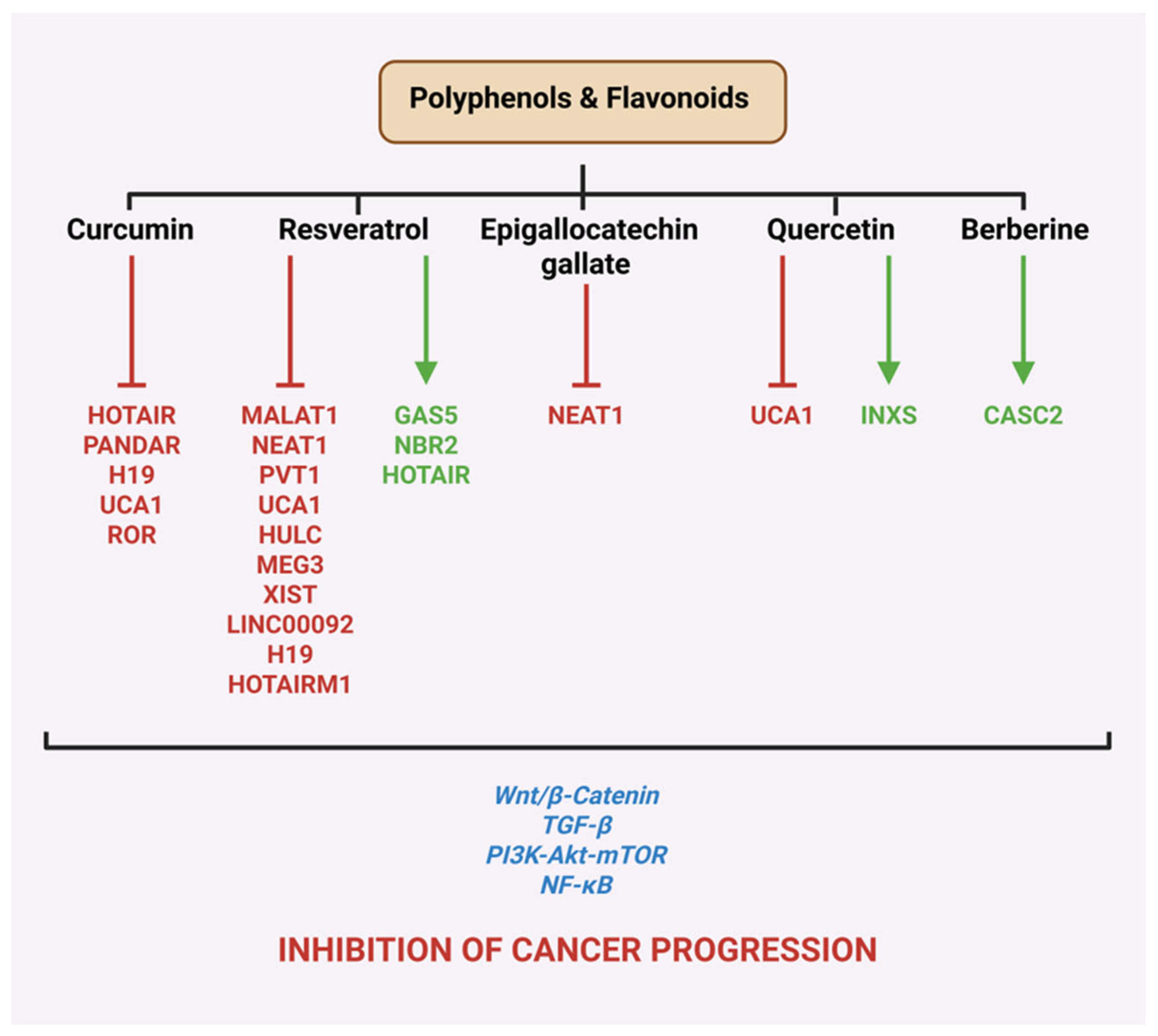 Preprints 192225 g002
