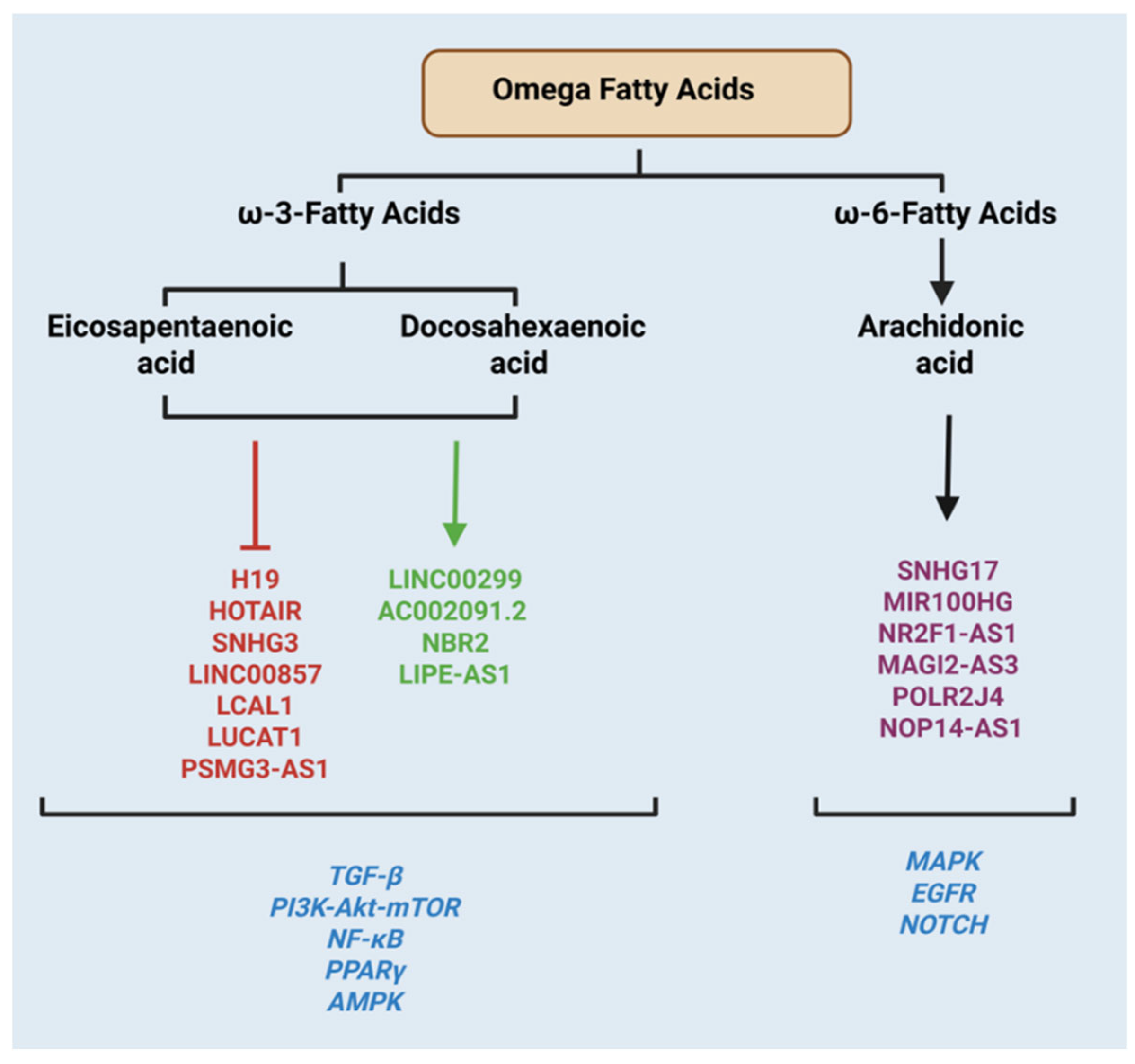 Preprints 192225 g003