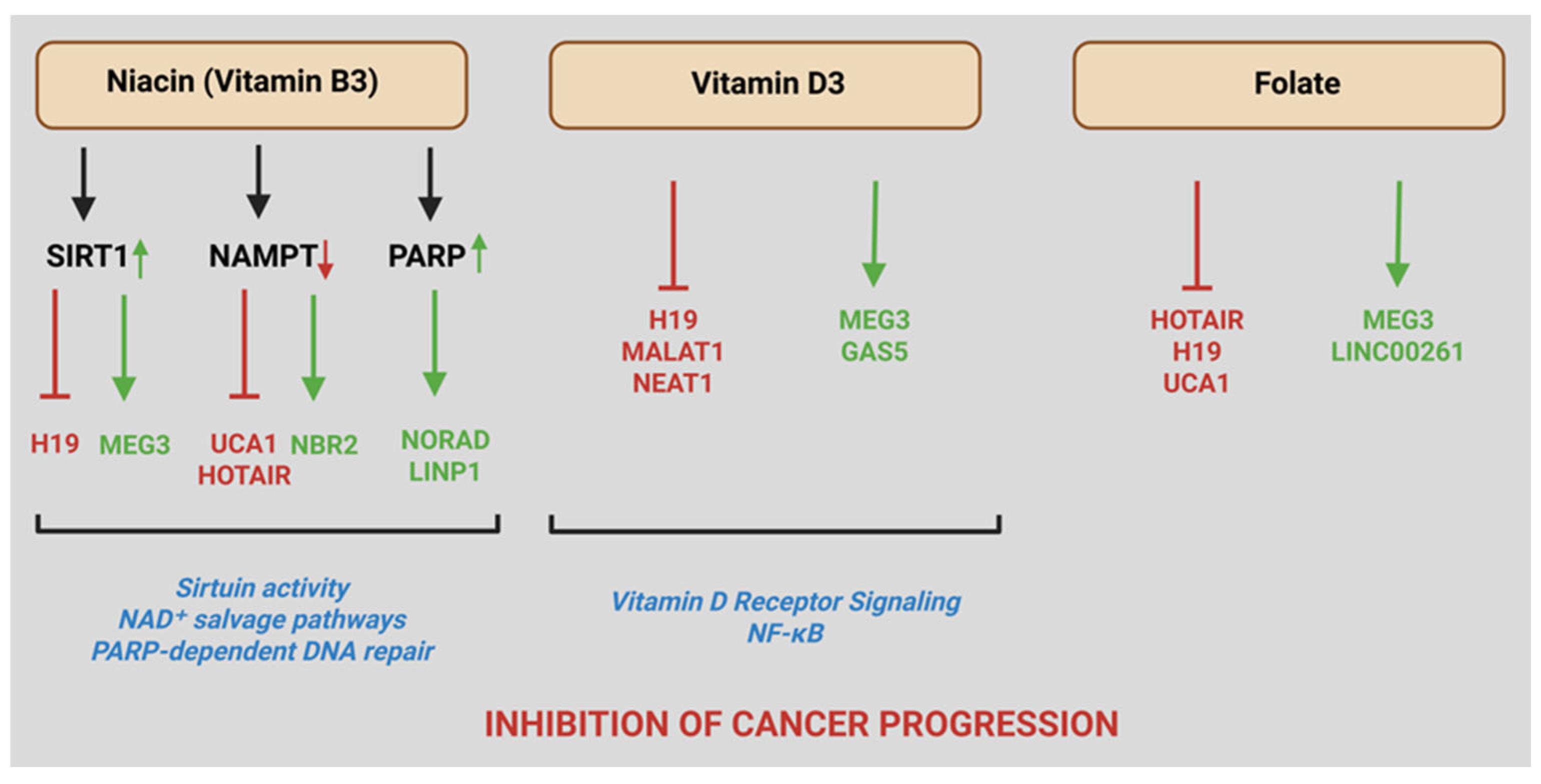 Preprints 192225 g004