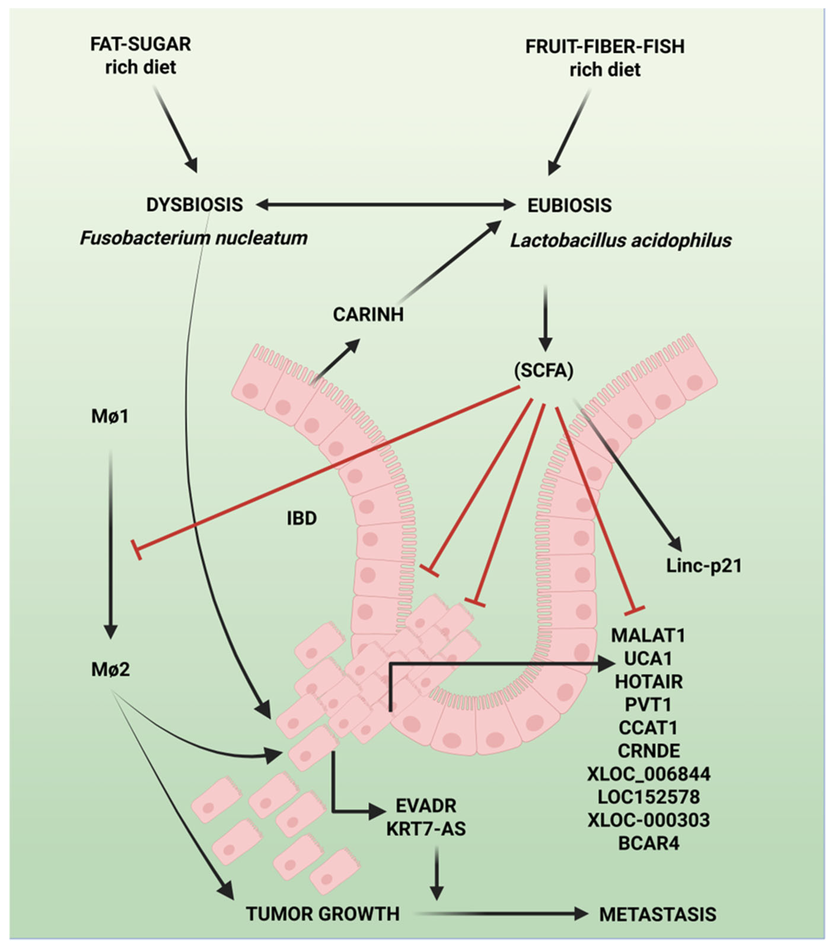 Preprints 192225 g005