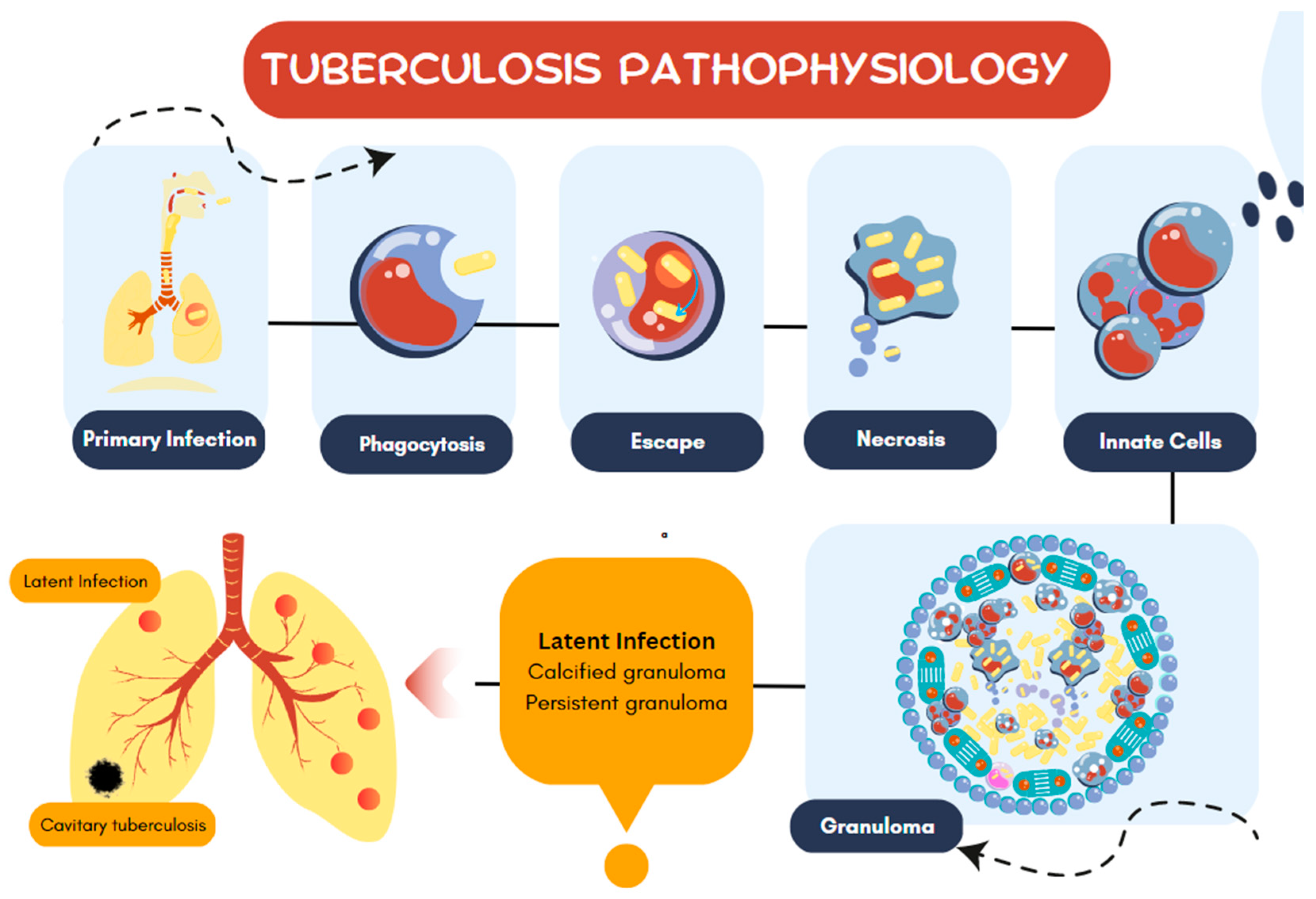 Preprints 86011 g001