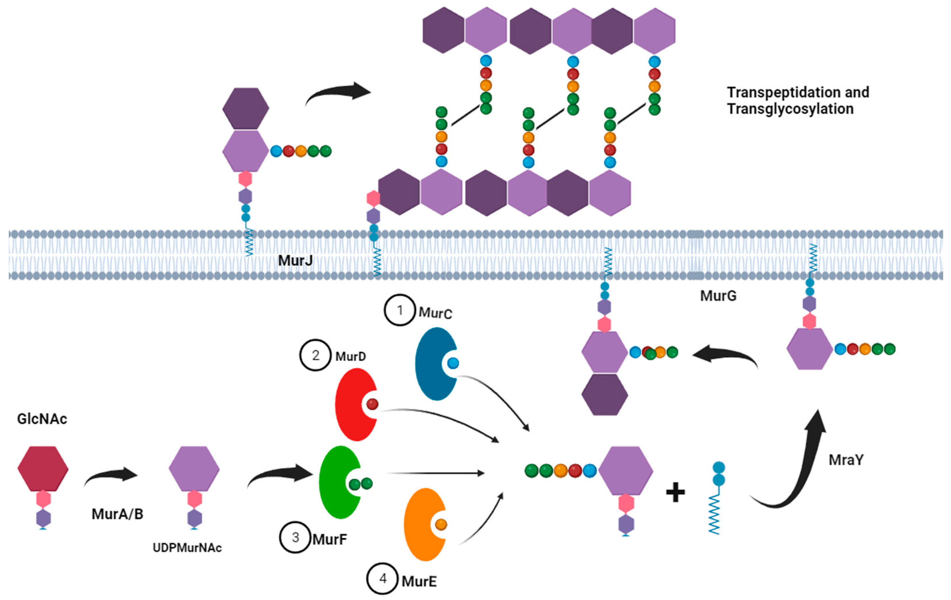 Preprints 86011 g002
