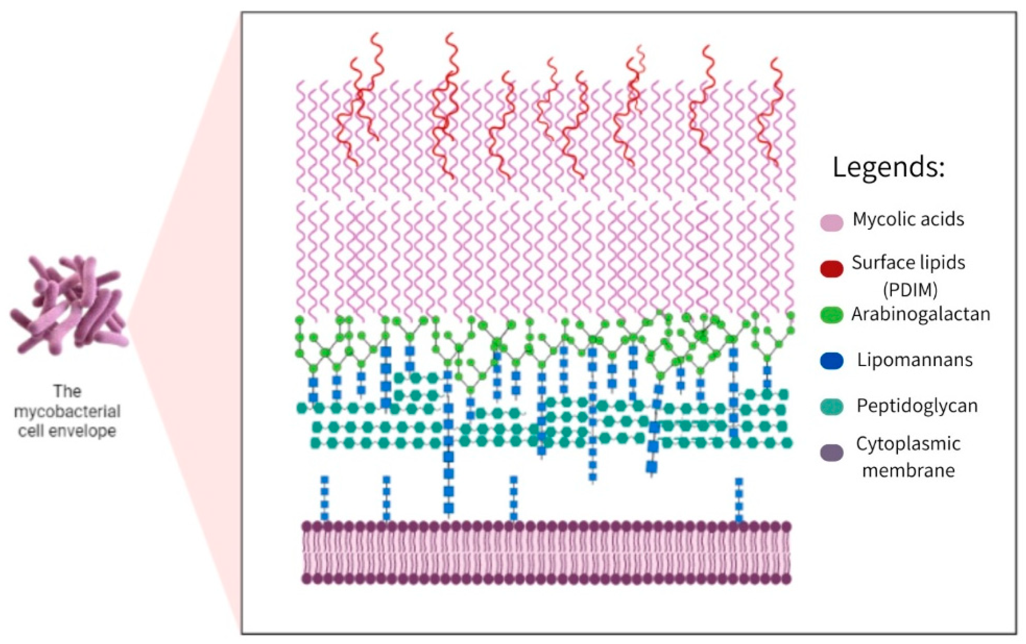 Preprints 86011 g003