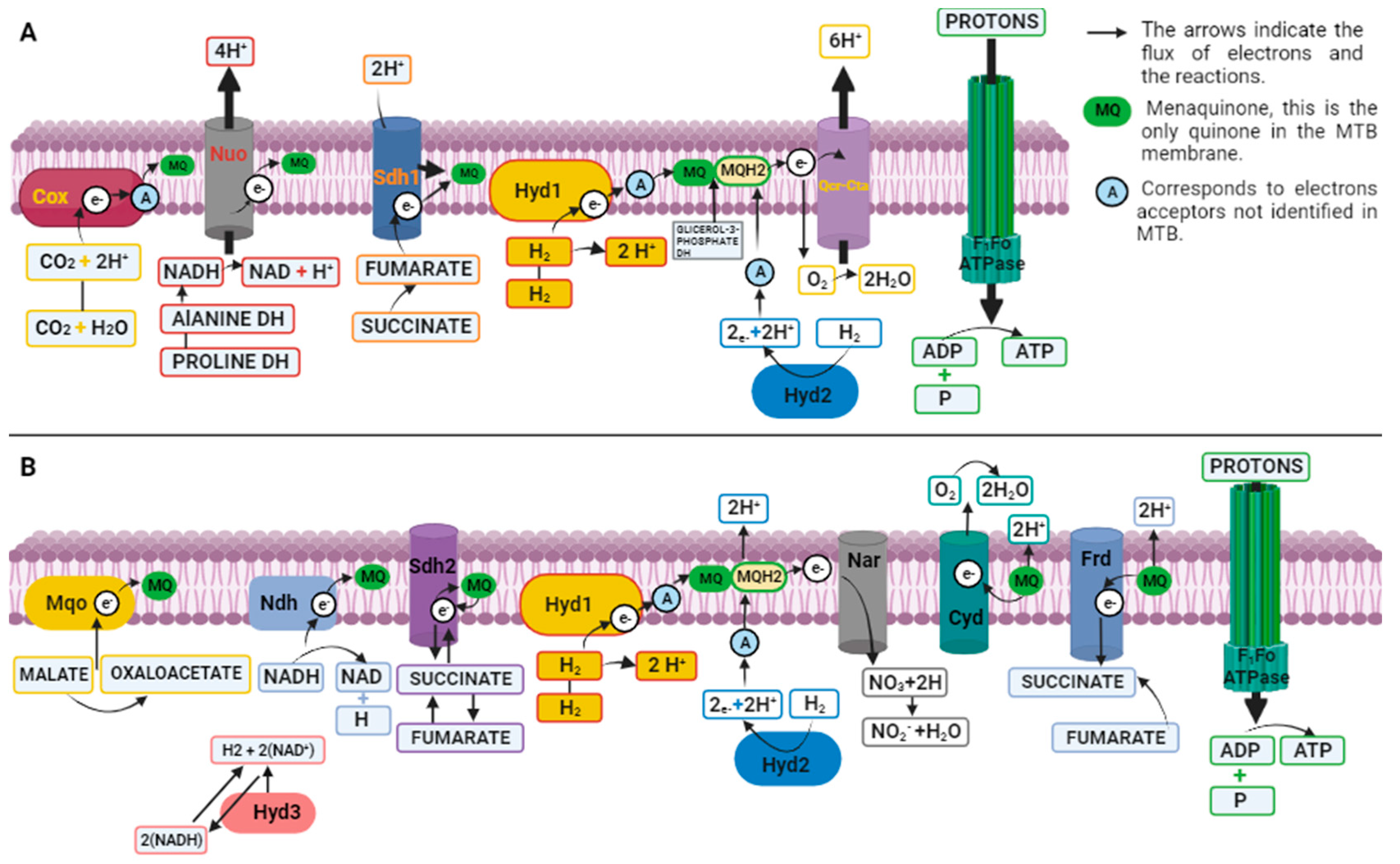 Preprints 86011 g004