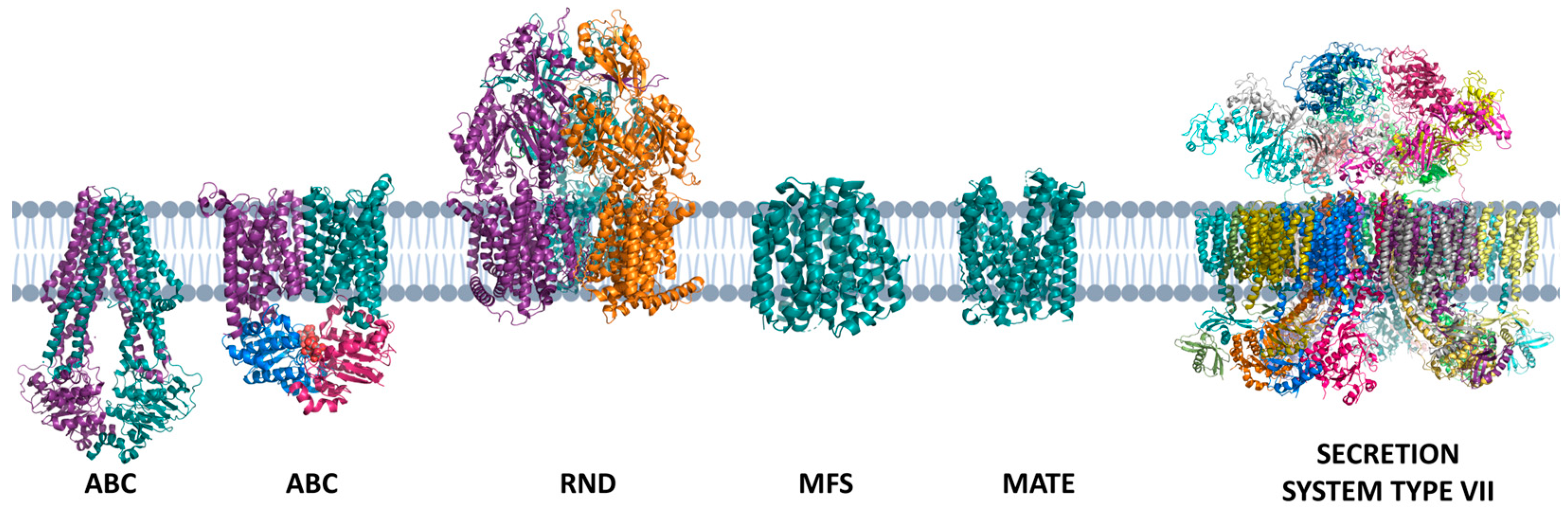 Preprints 86011 g005