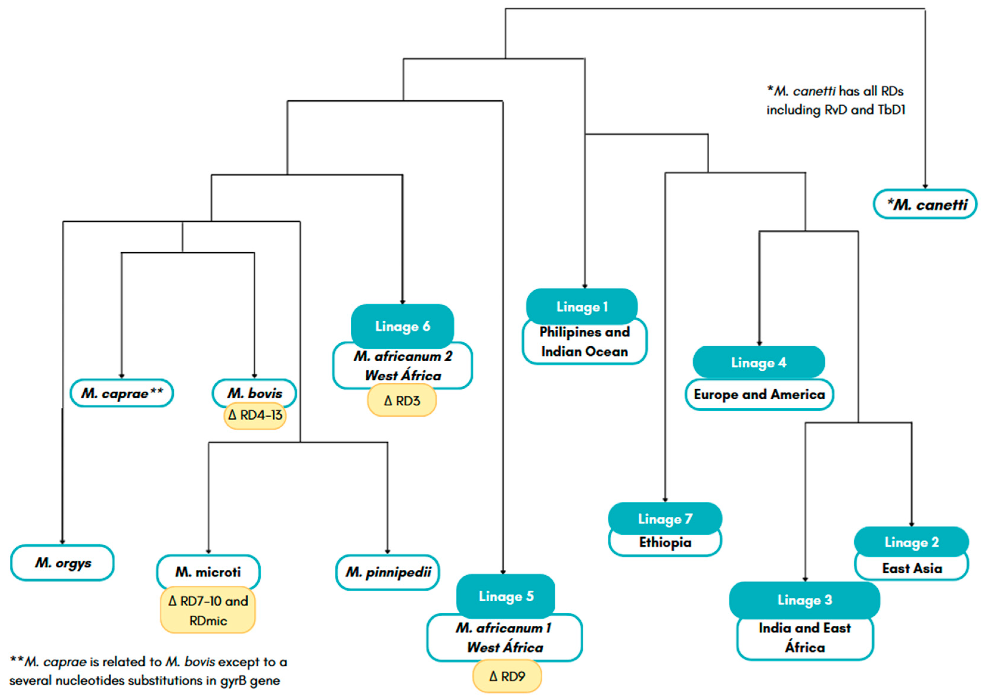 Preprints 86011 g006