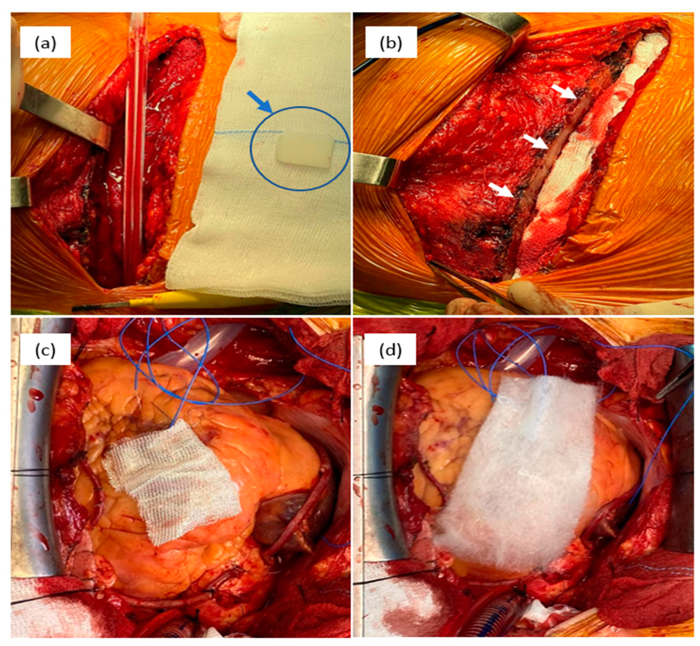 Preprints 74194 g003