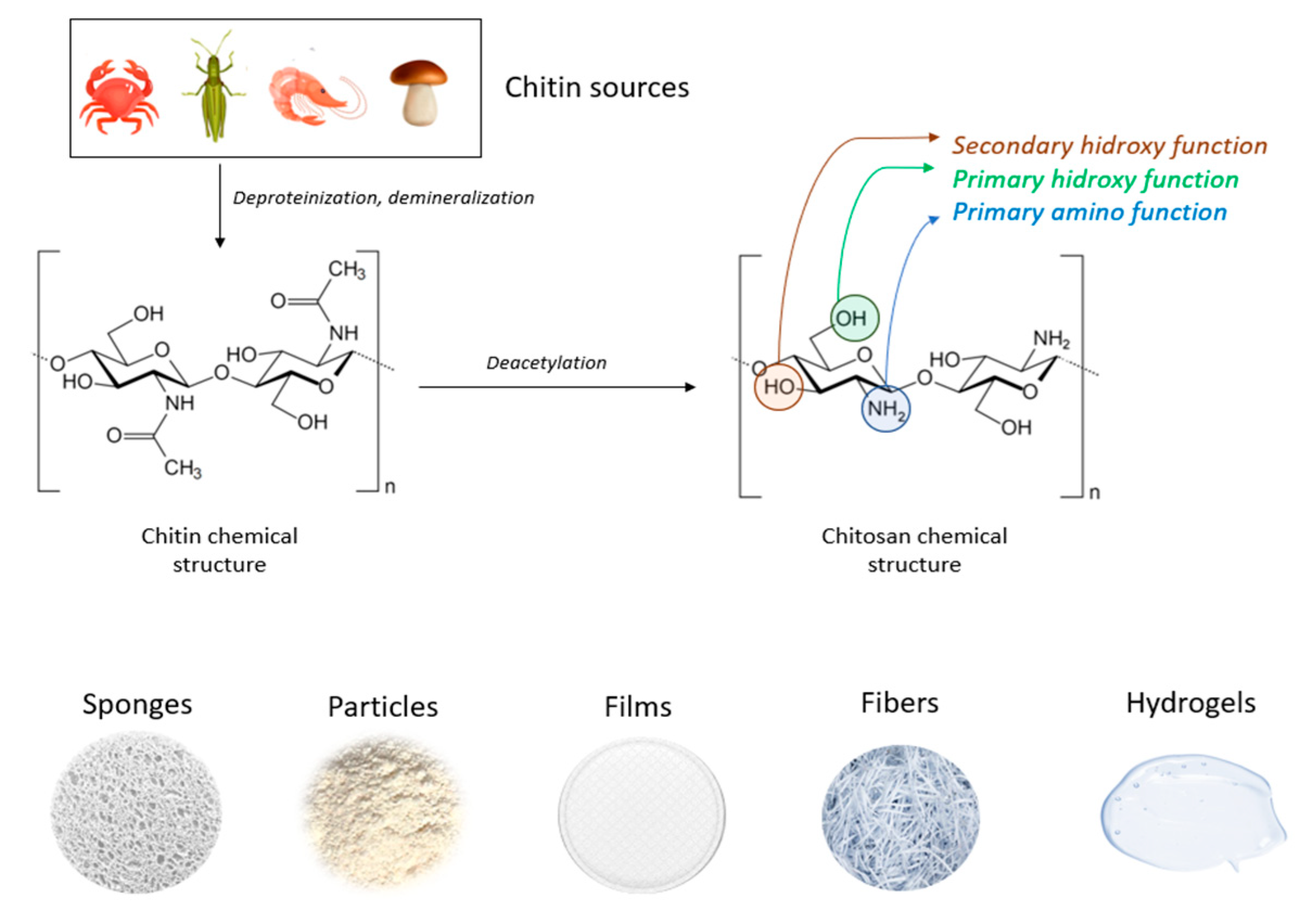 Preprints 74194 g004